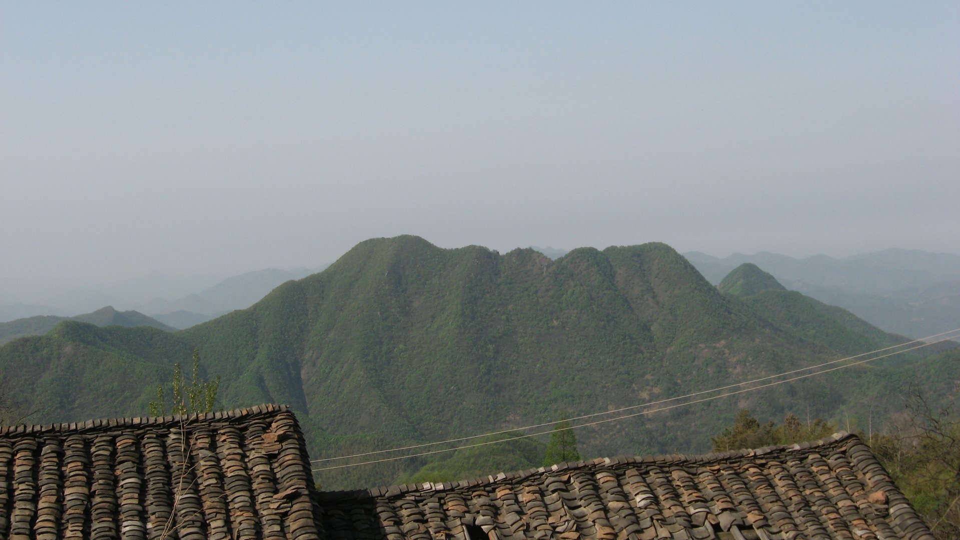 IMG_20110417_085140.jpg