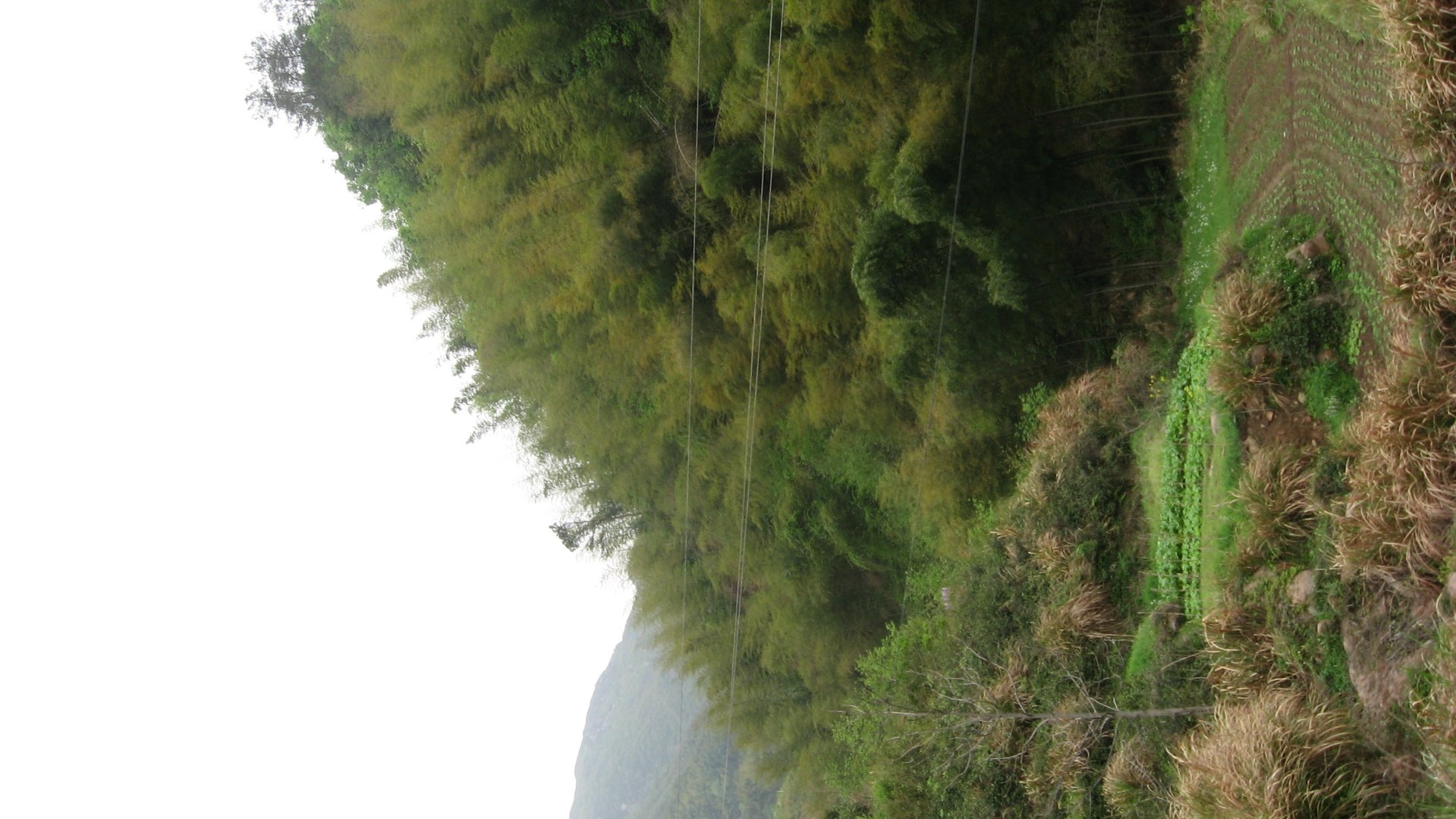 IMG_20110417_122515_006.jpg