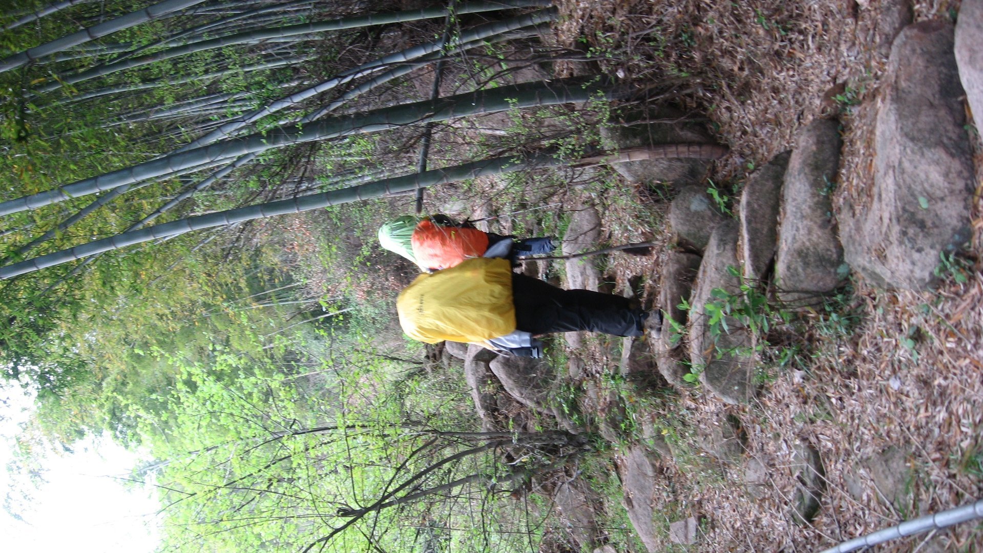 IMG_20110417_122515_017.jpg