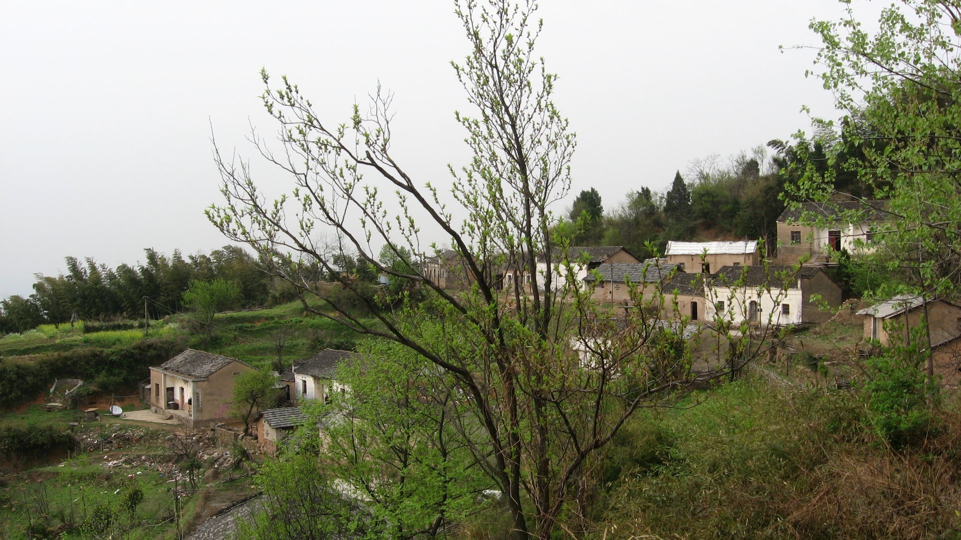 IMG_20110417_122515_022.jpg