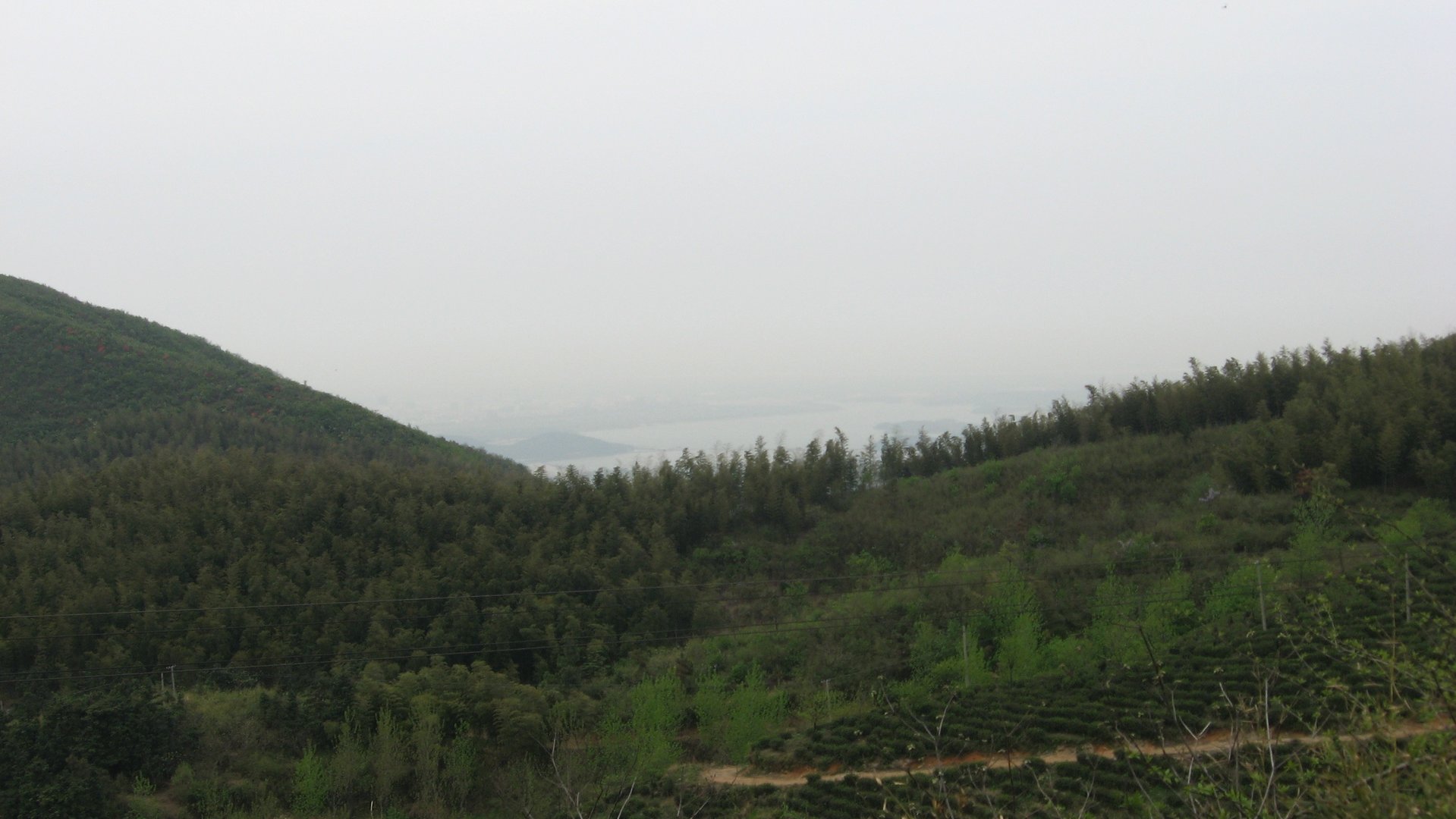 IMG_20110417_122515_061.jpg