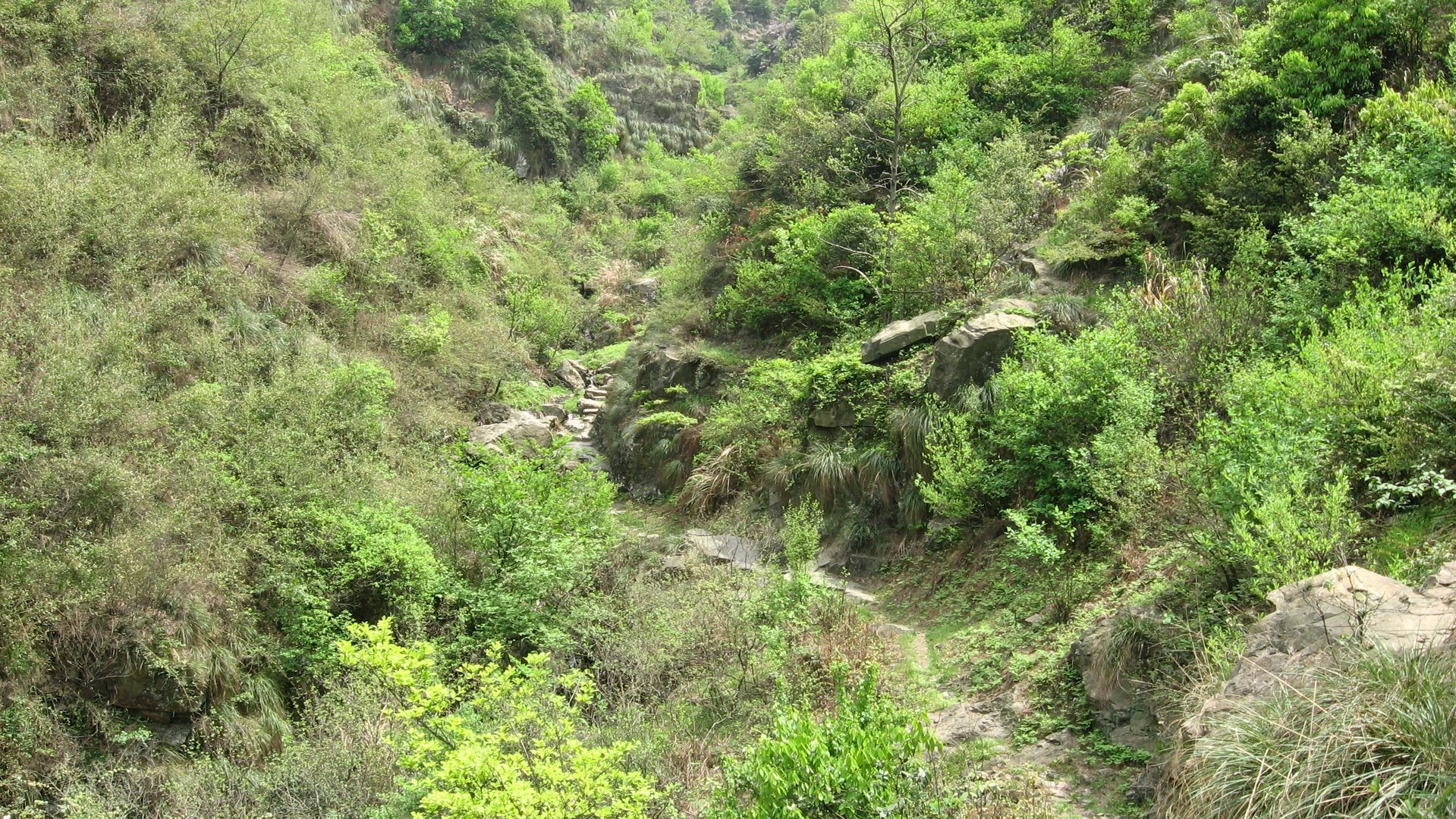 IMG_20110417_122515_066.jpg