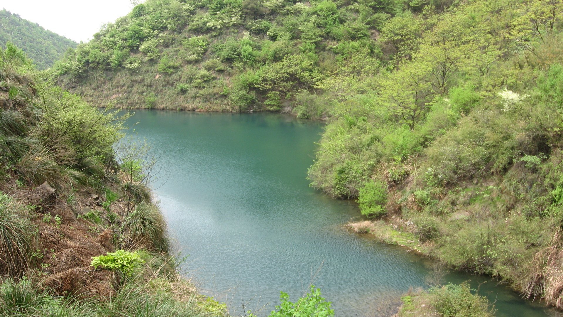 IMG_20110417_132700.jpg