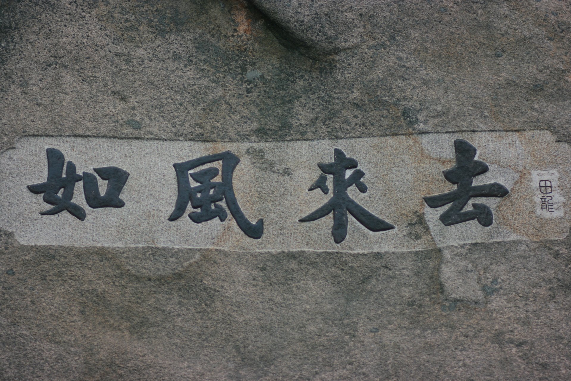 IMG_20110926_090000_016.jpg