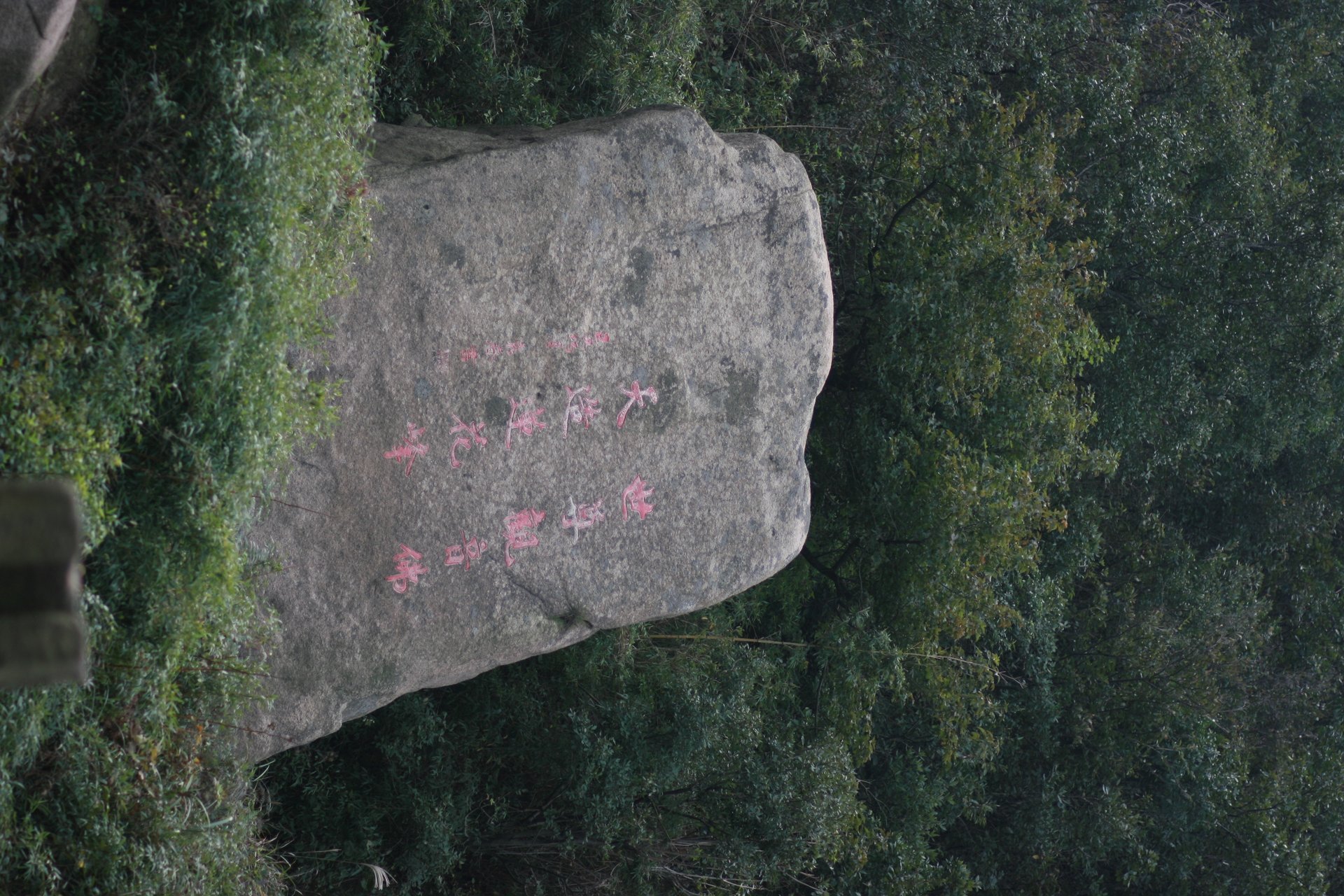 IMG_20110926_090000_021.jpg