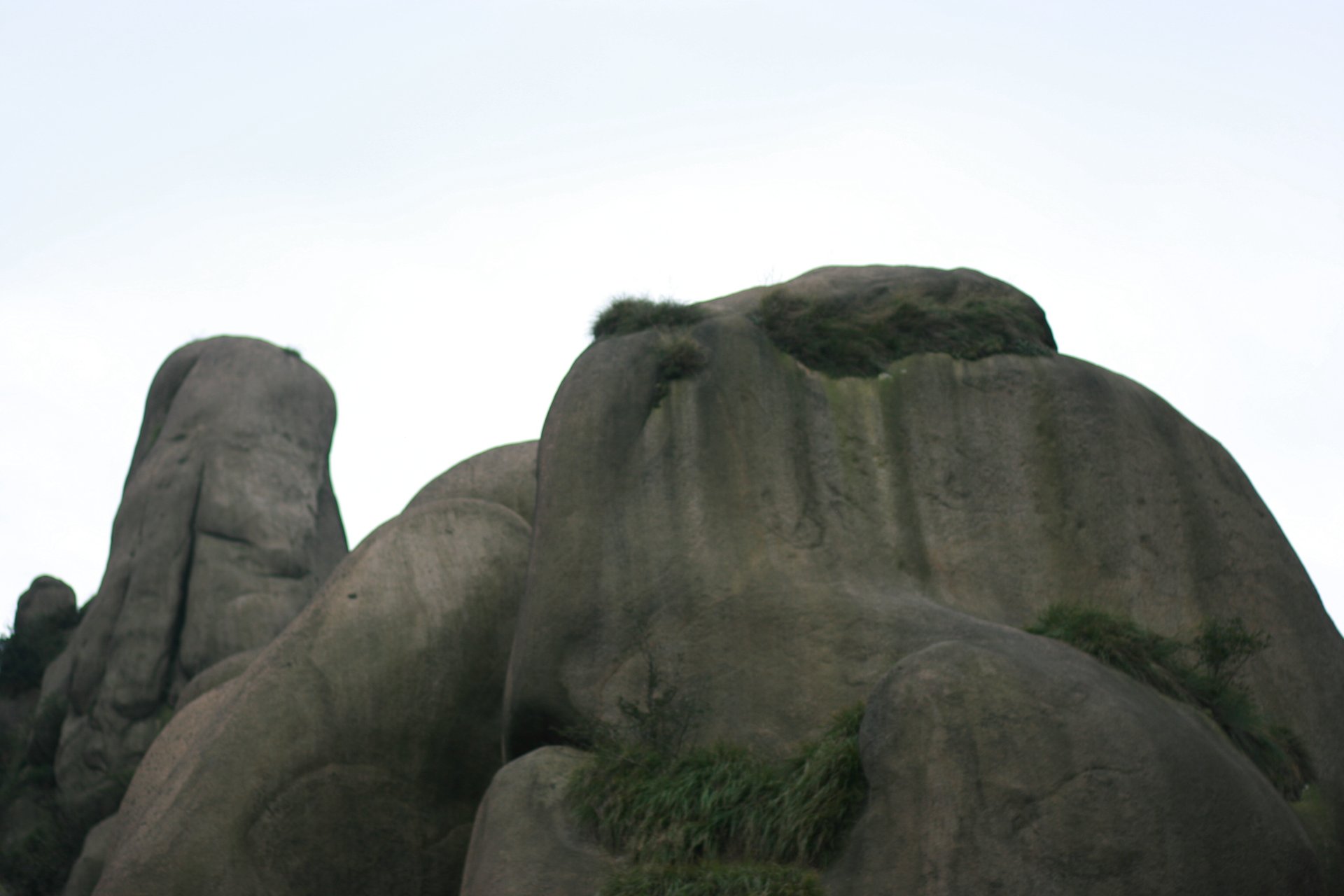 IMG_20110926_090000_044.jpg