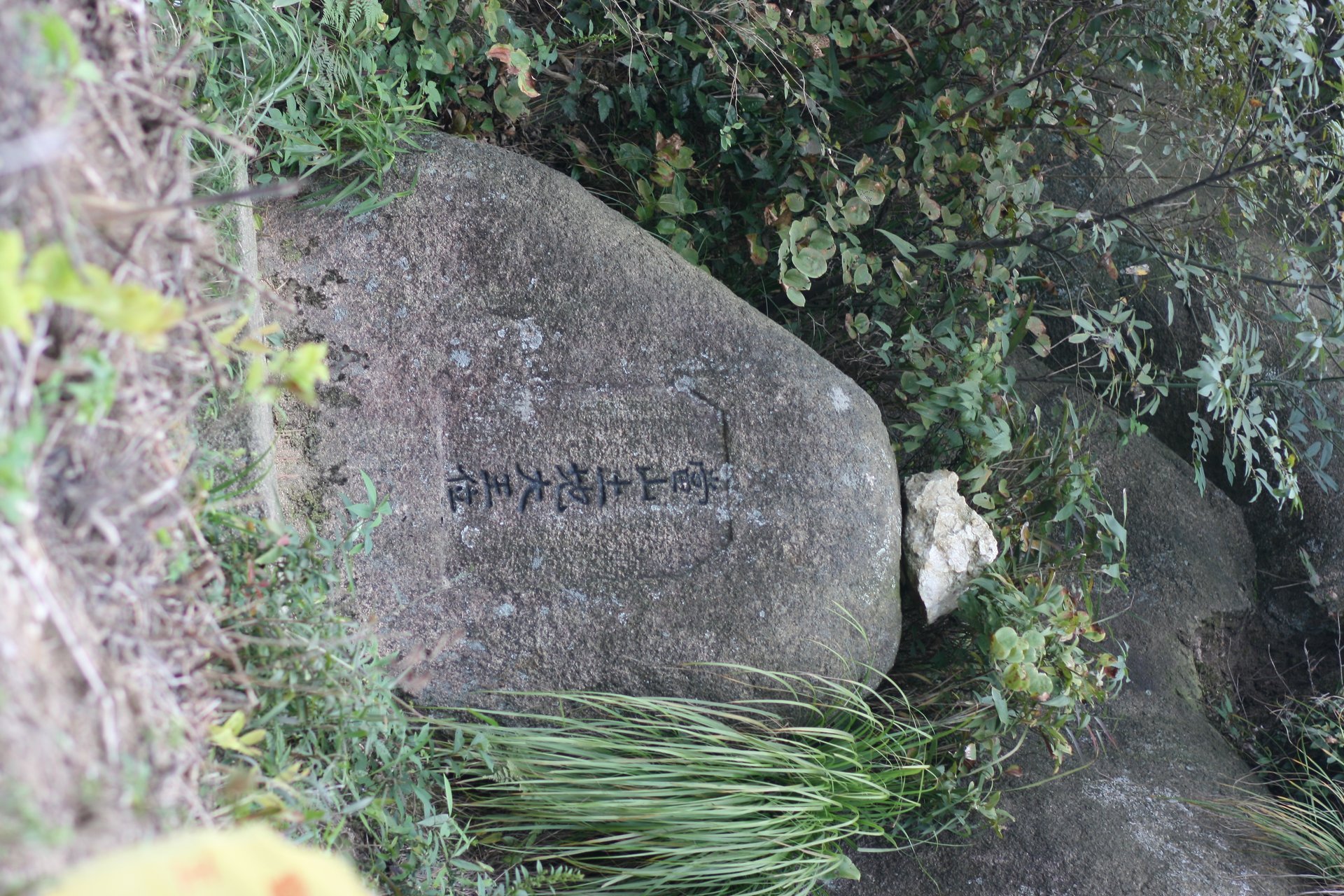 IMG_20110926_090000_073.jpg