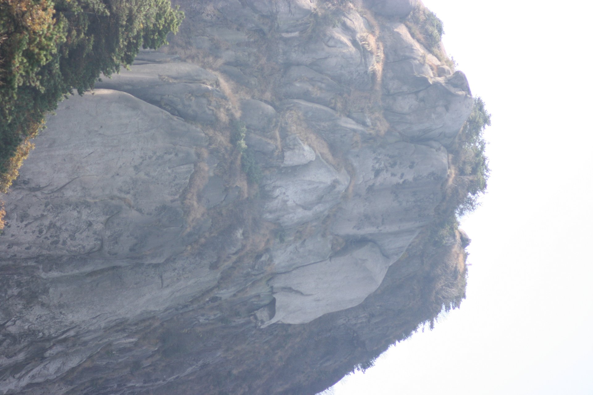 IMG_20111023_090000_022.jpg