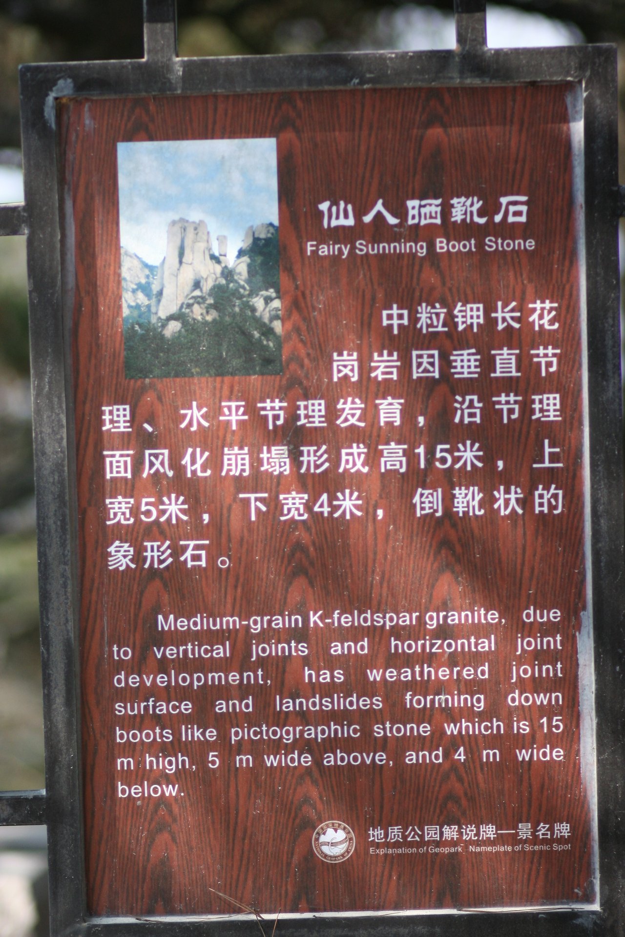 IMG_20111023_090000_034.jpg