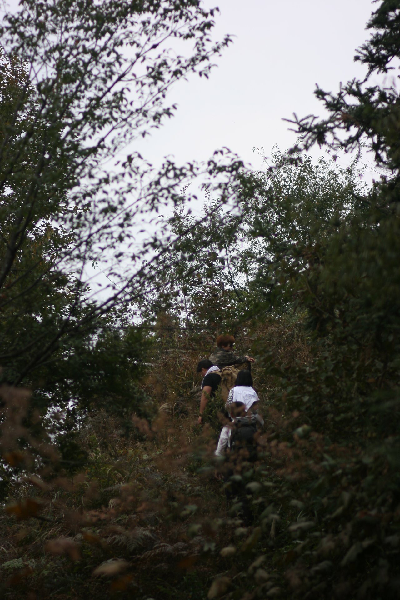 IMG_20111023_090000_069.jpg