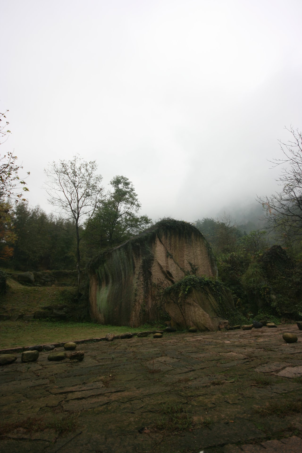 IMG_20111106_114618.jpg