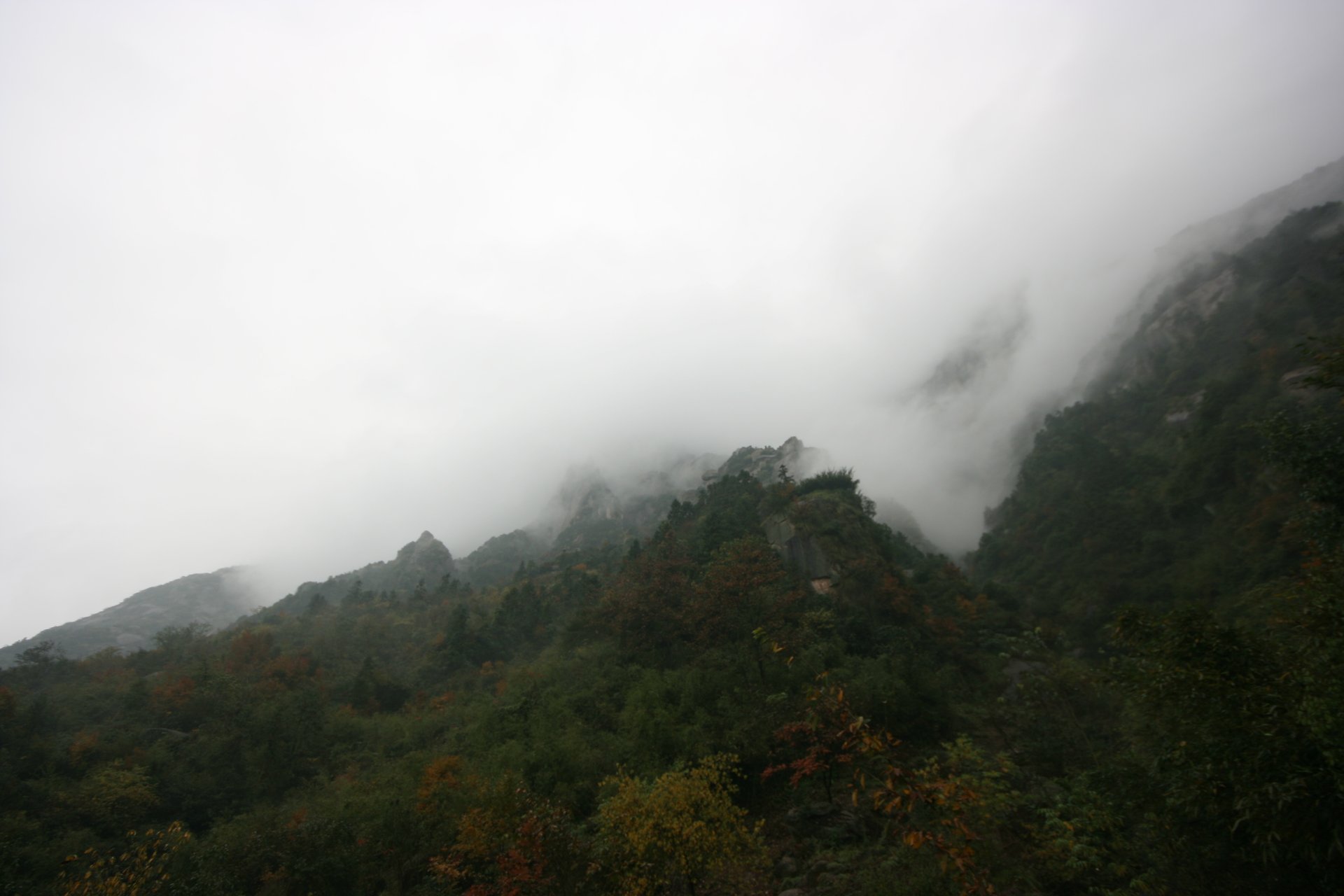 IMG_20111106_120656.jpg