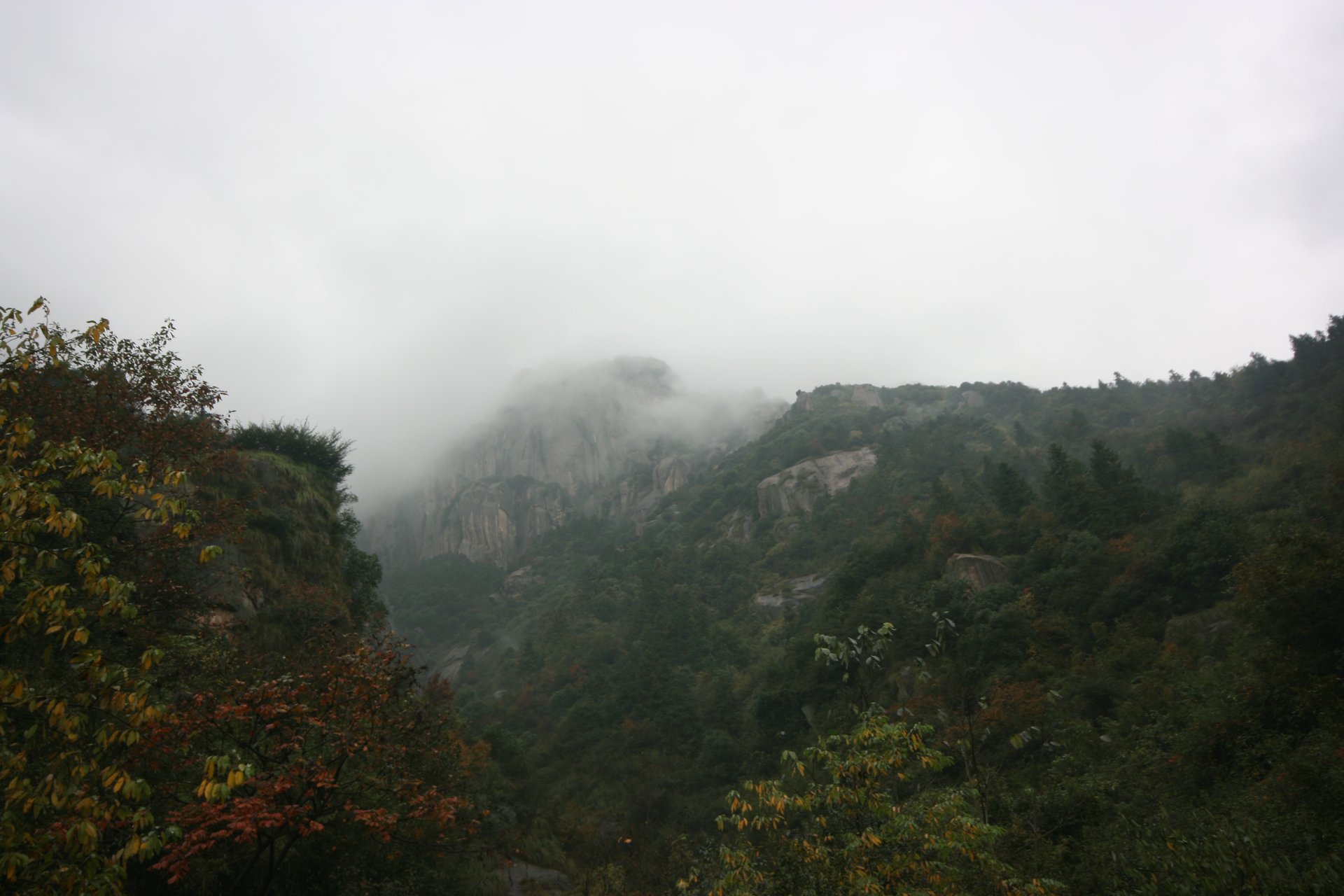 IMG_20111106_120842.jpg