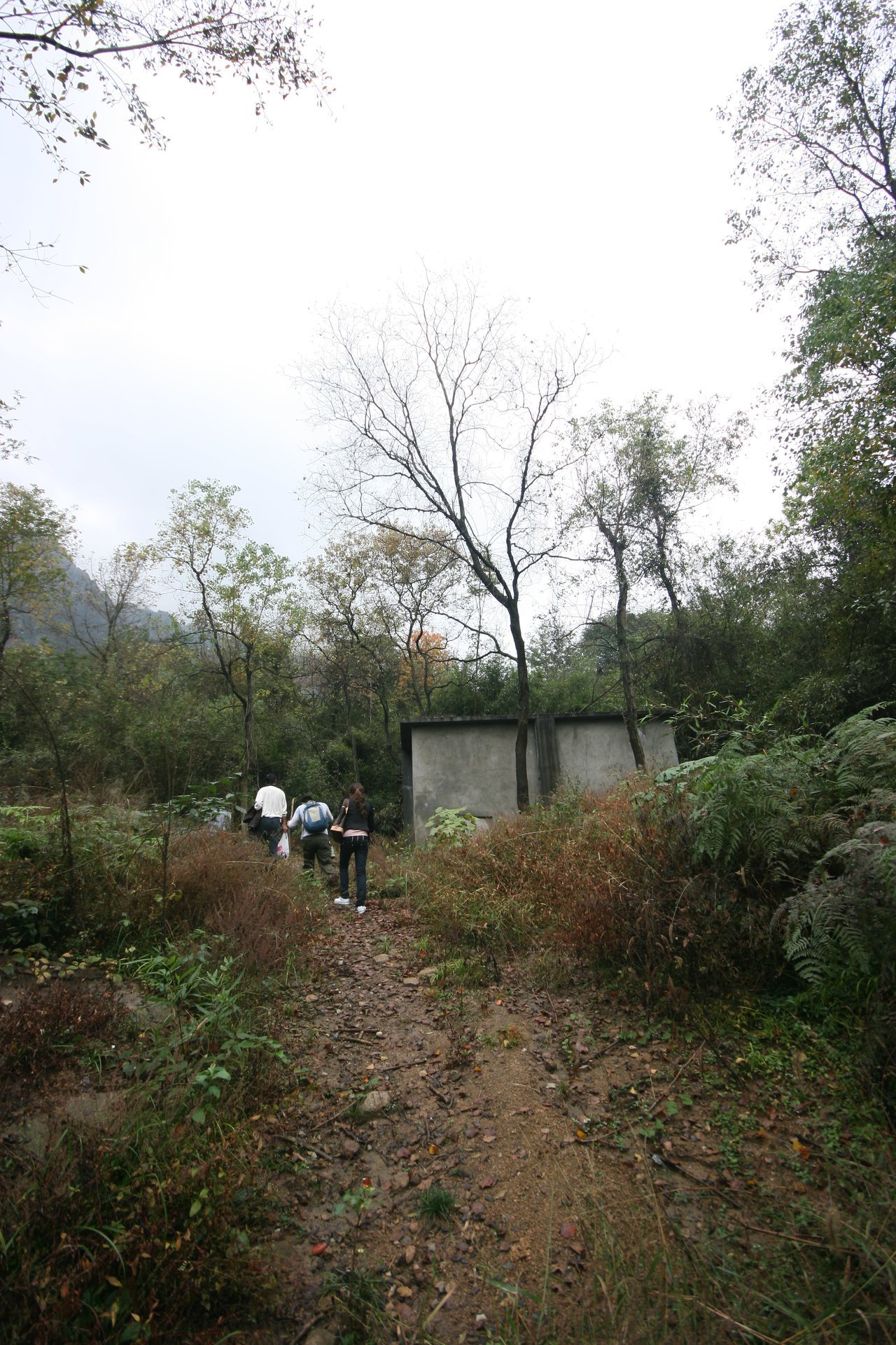 IMG_20111106_125745.jpg