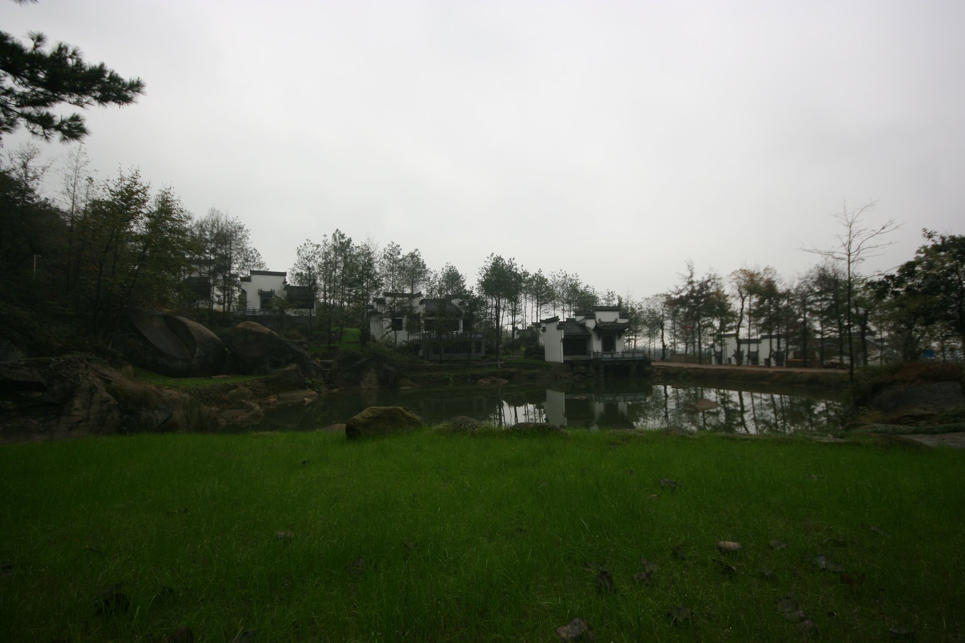 IMG_20111107_090000_006.jpg