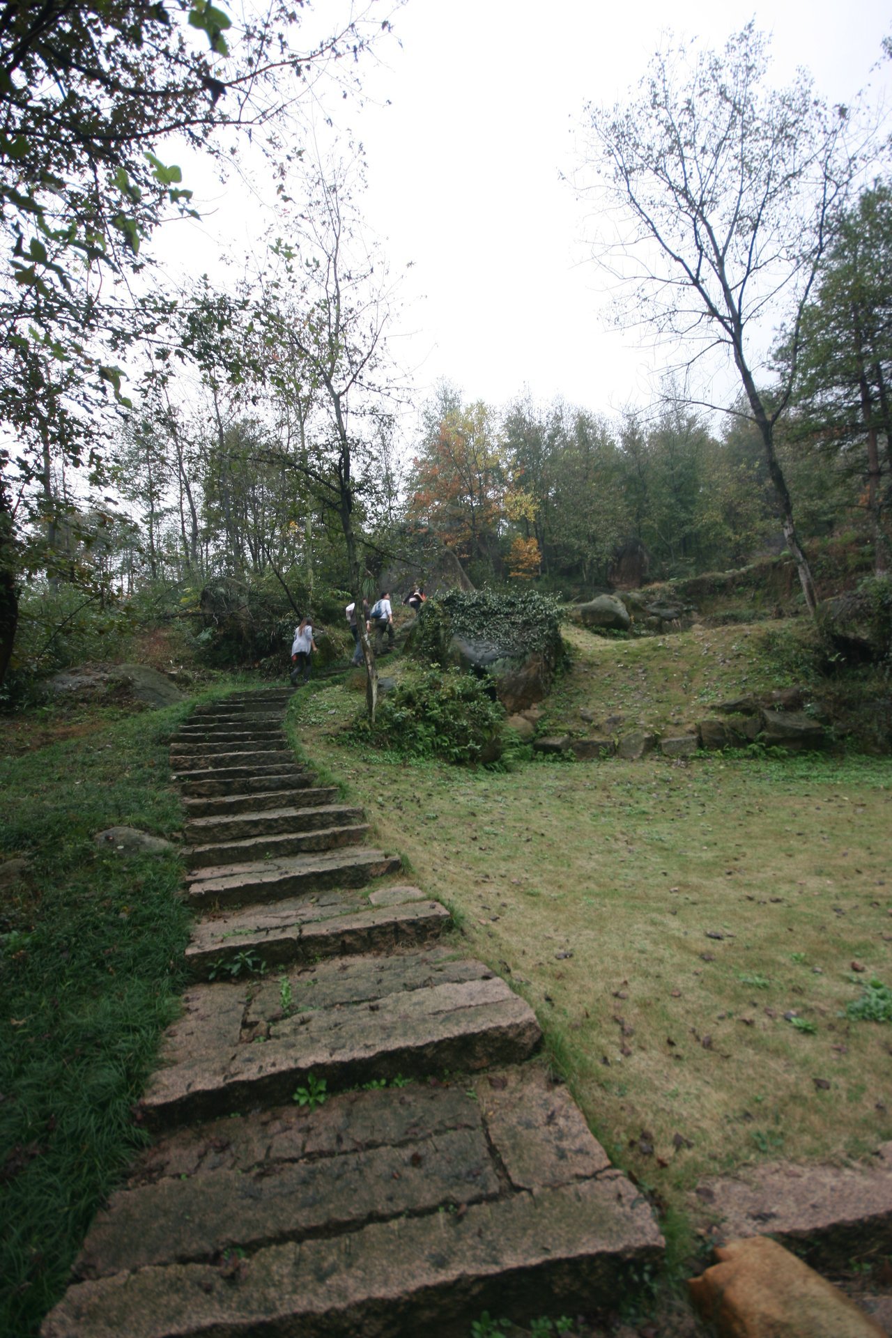 IMG_20111107_090000_007.jpg