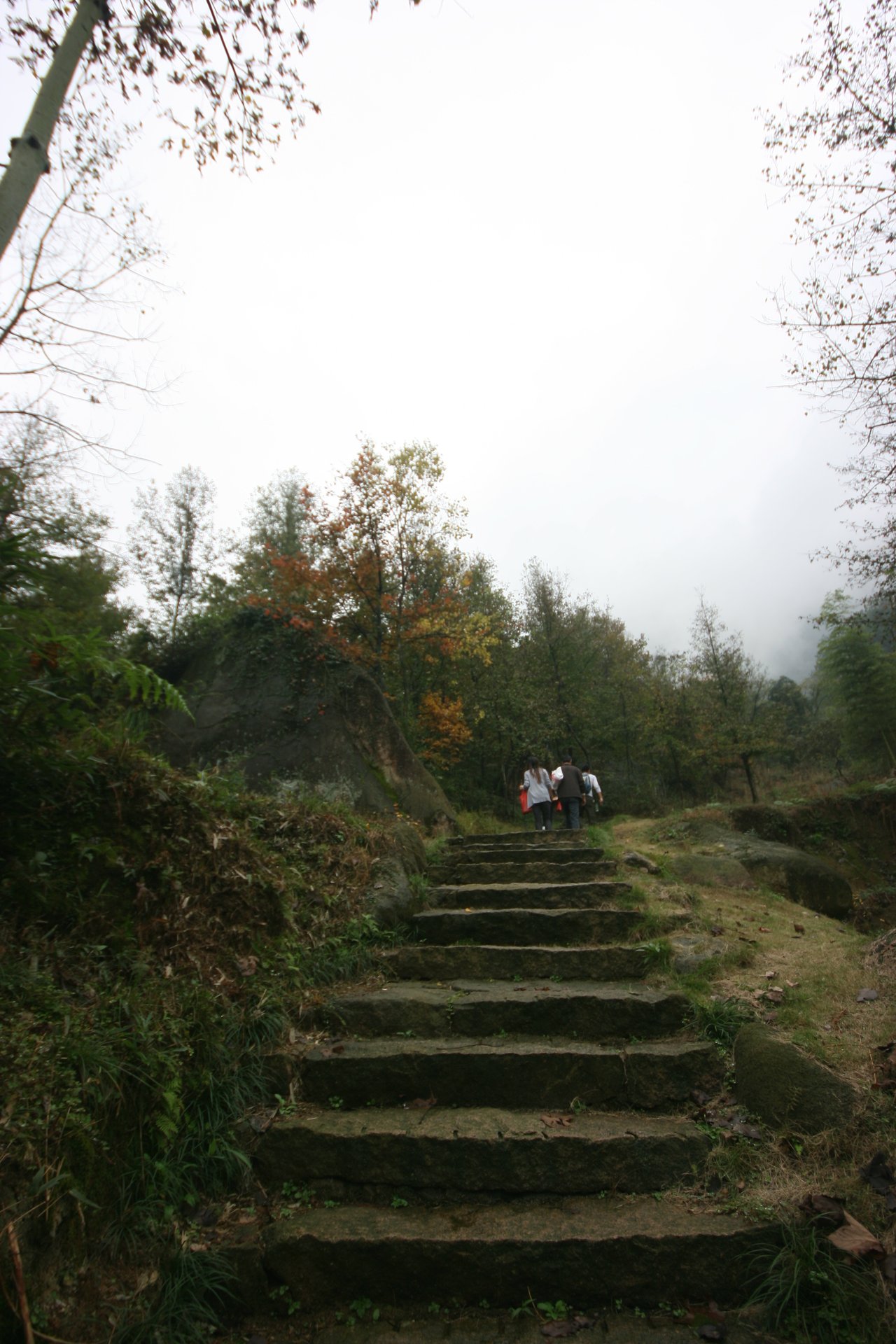 IMG_20111107_090000_008.jpg