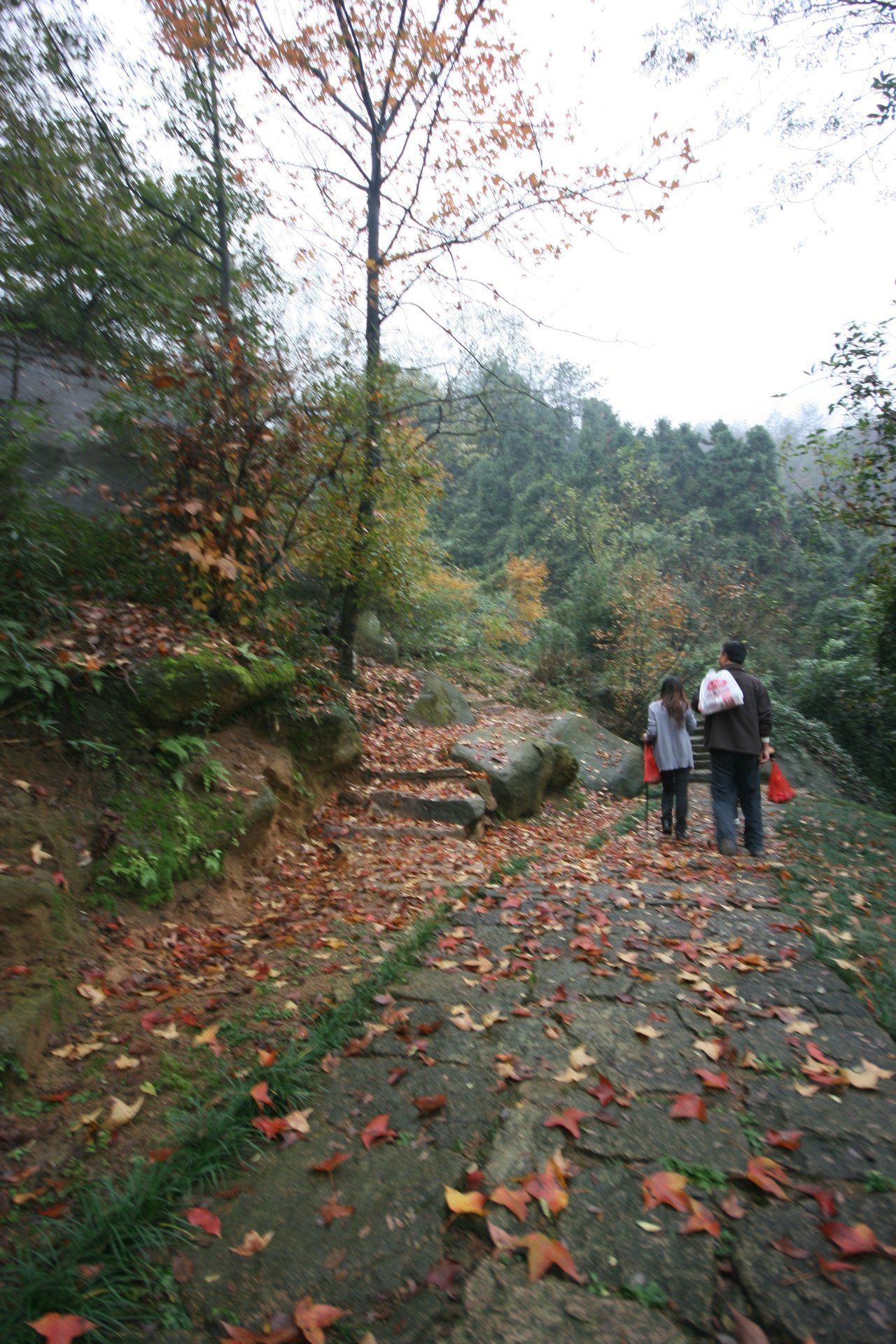 IMG_20111107_090000_009.jpg