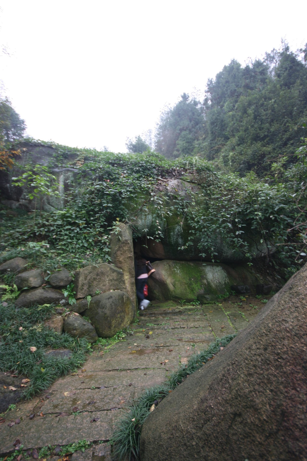 IMG_20111107_090000_010.jpg