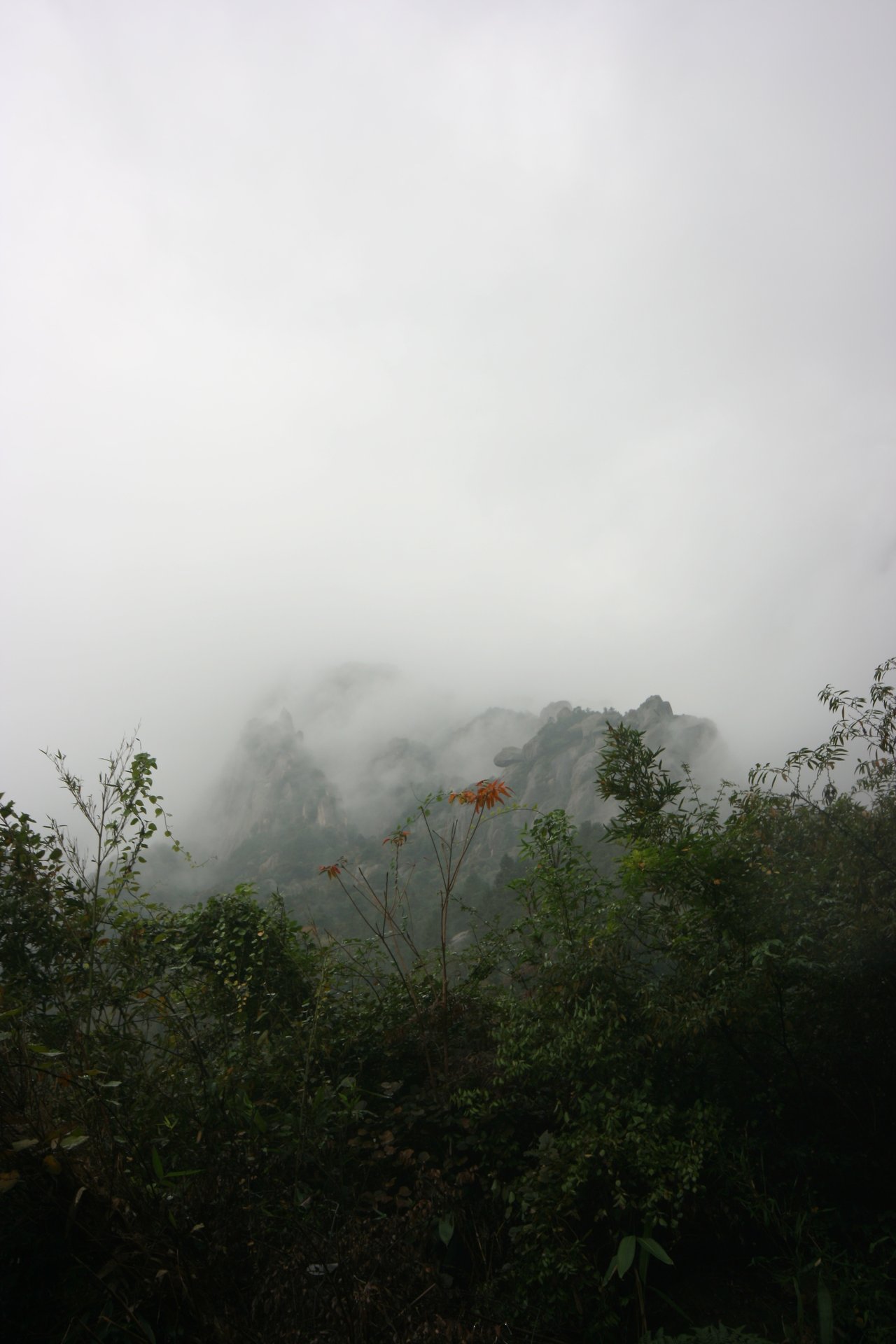 IMG_20111107_090000_019.jpg