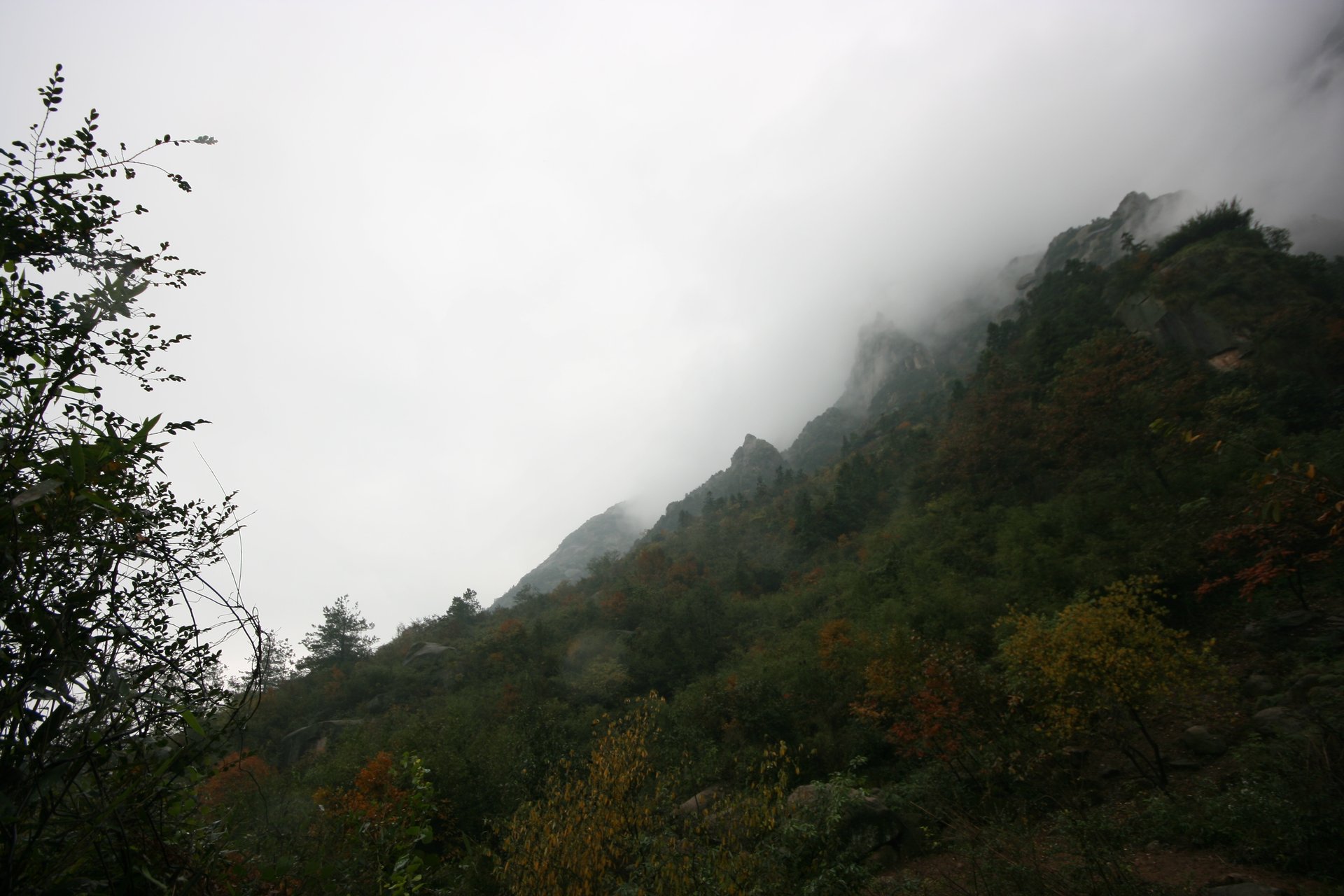 IMG_20111107_090000_020.jpg