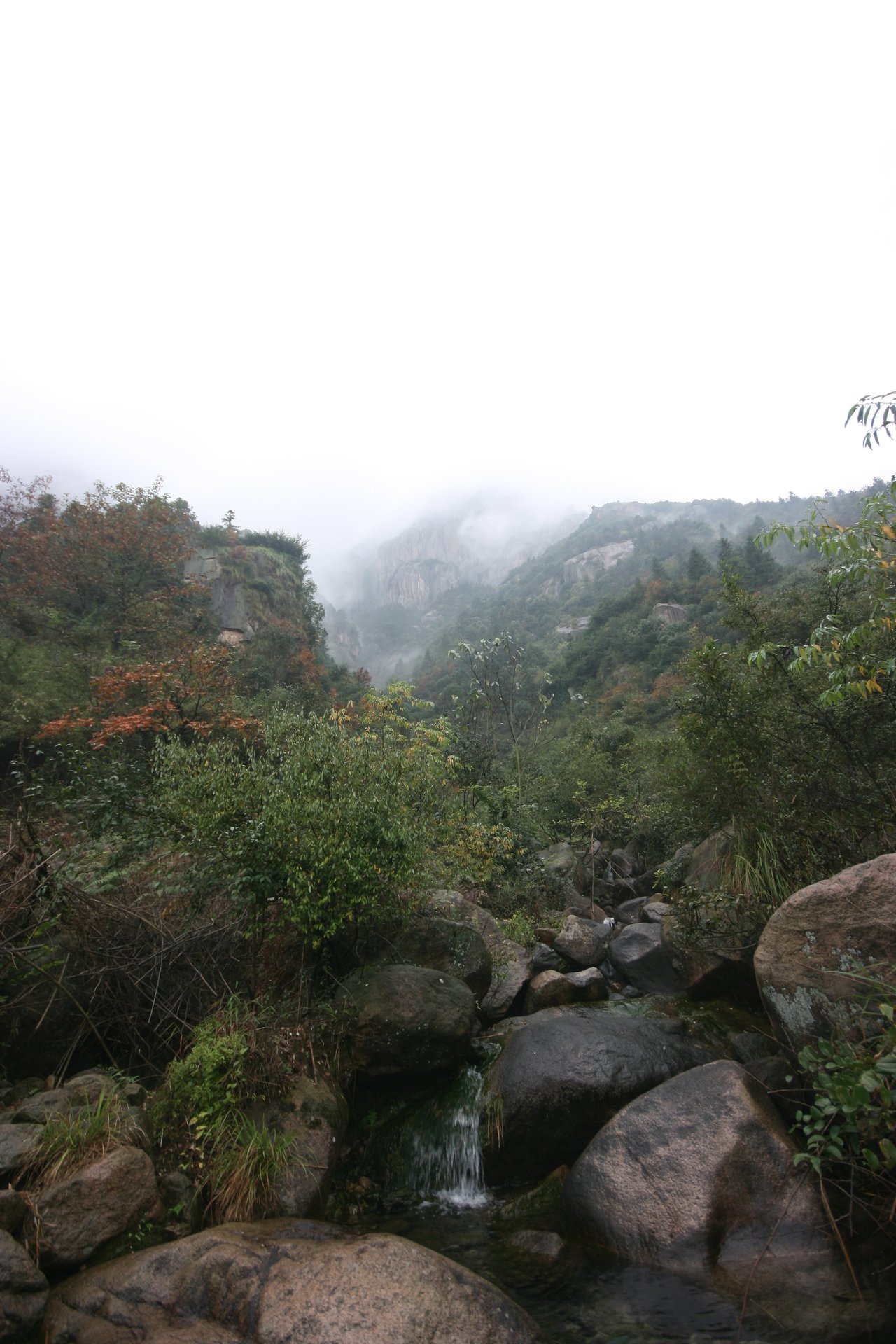 IMG_20111107_090000_022.jpg