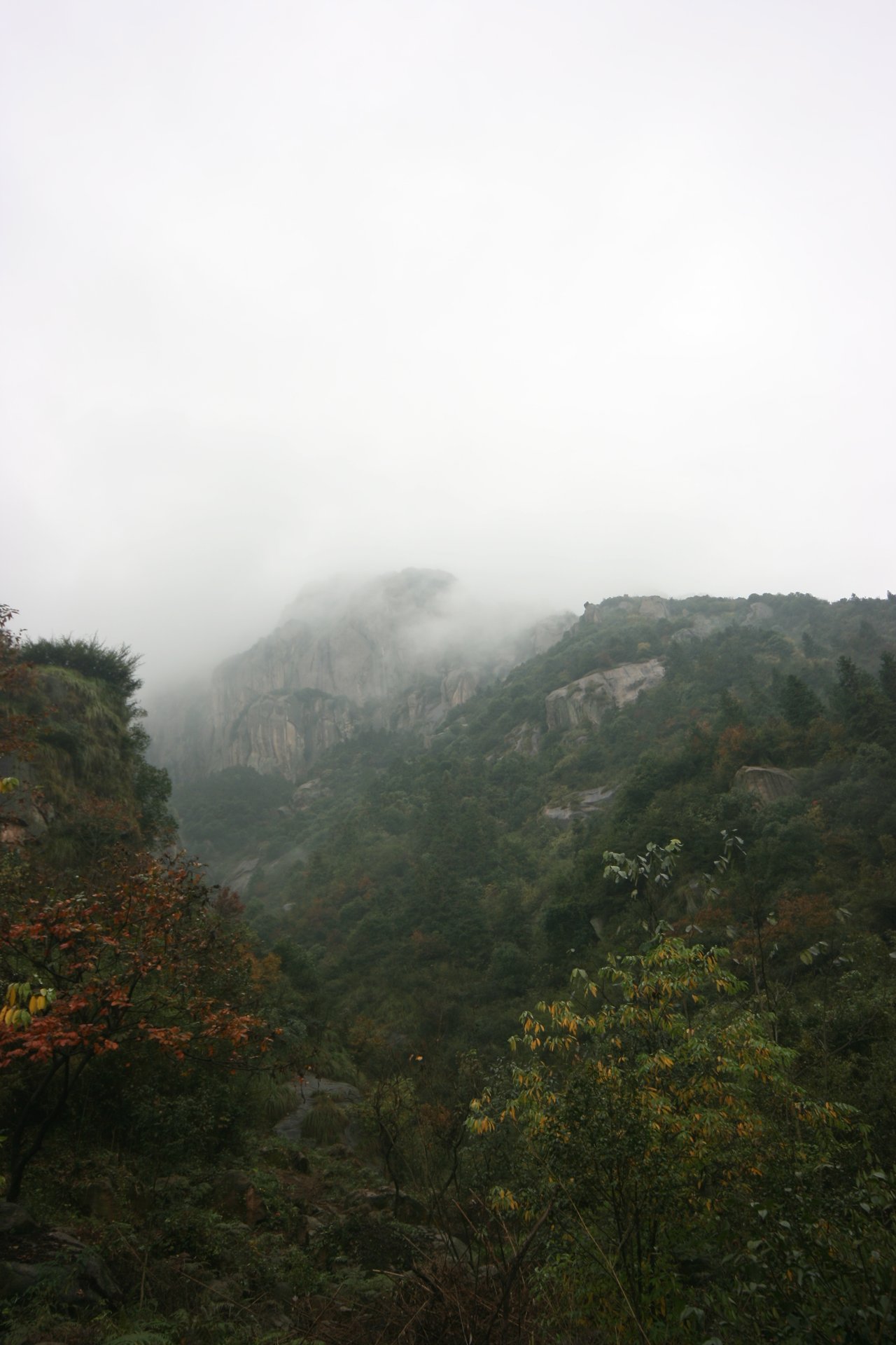 IMG_20111107_090000_023.jpg