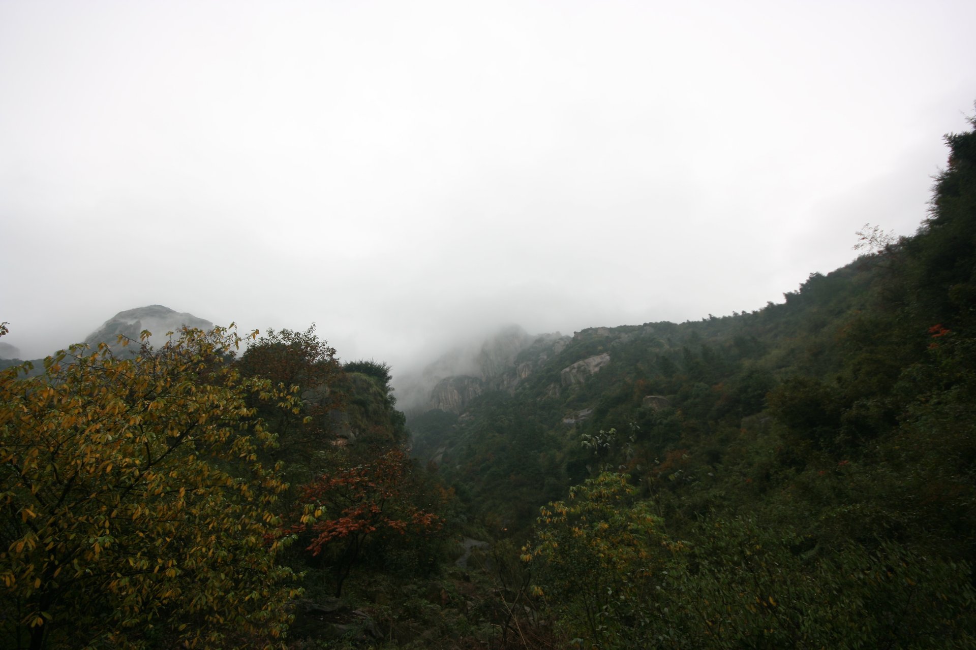 IMG_20111107_090000_025.jpg