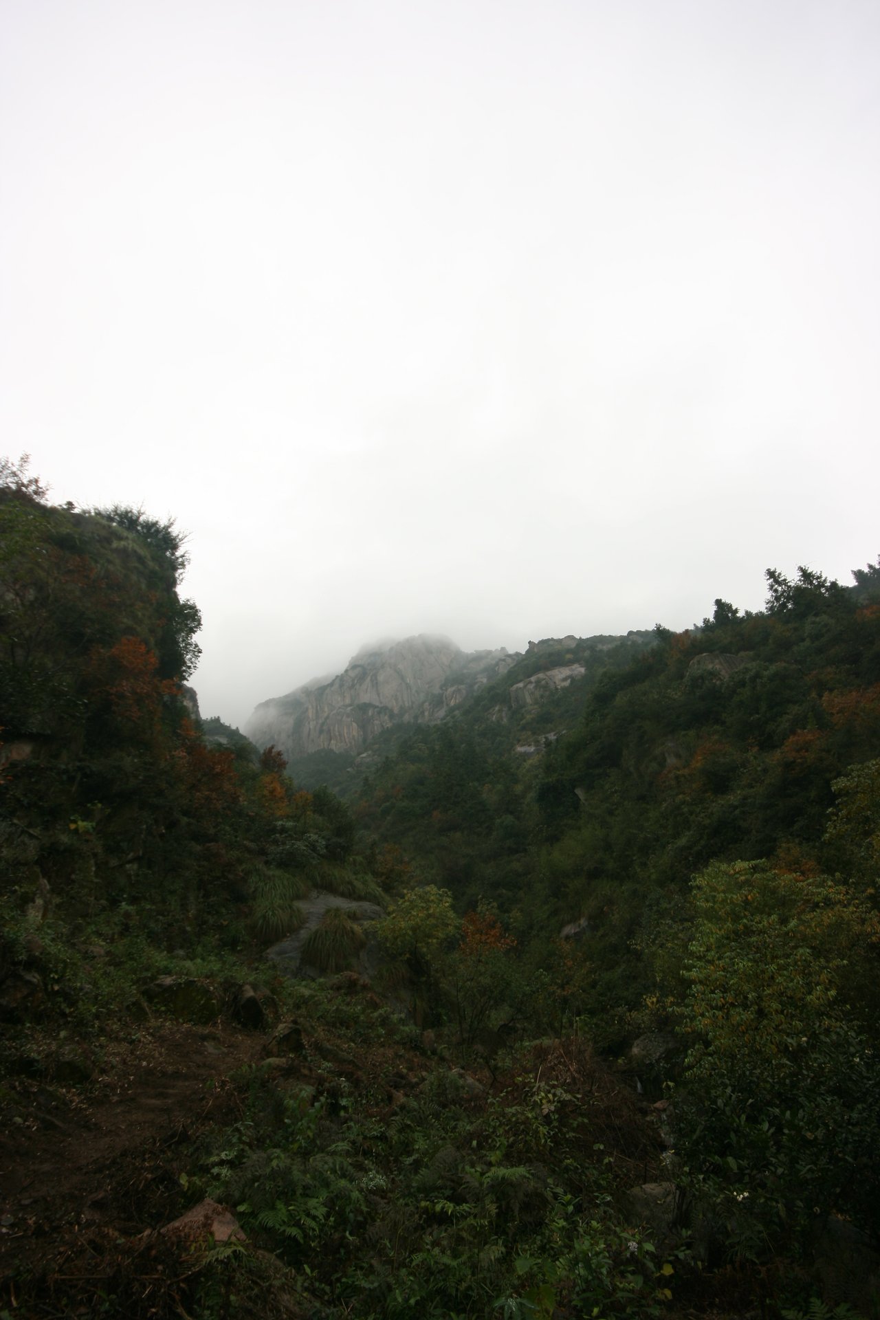 IMG_20111107_090000_026.jpg