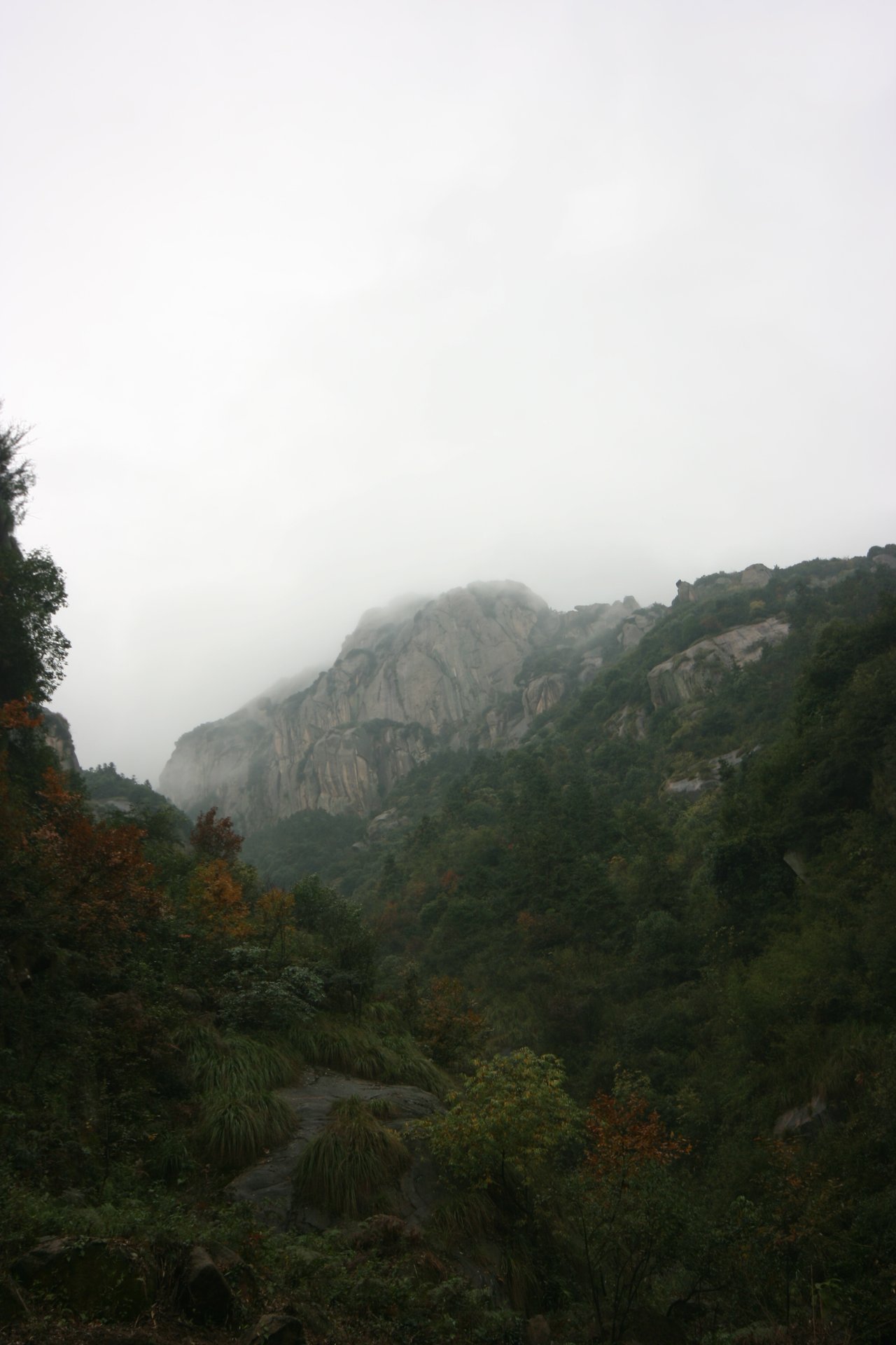 IMG_20111107_090000_027.jpg