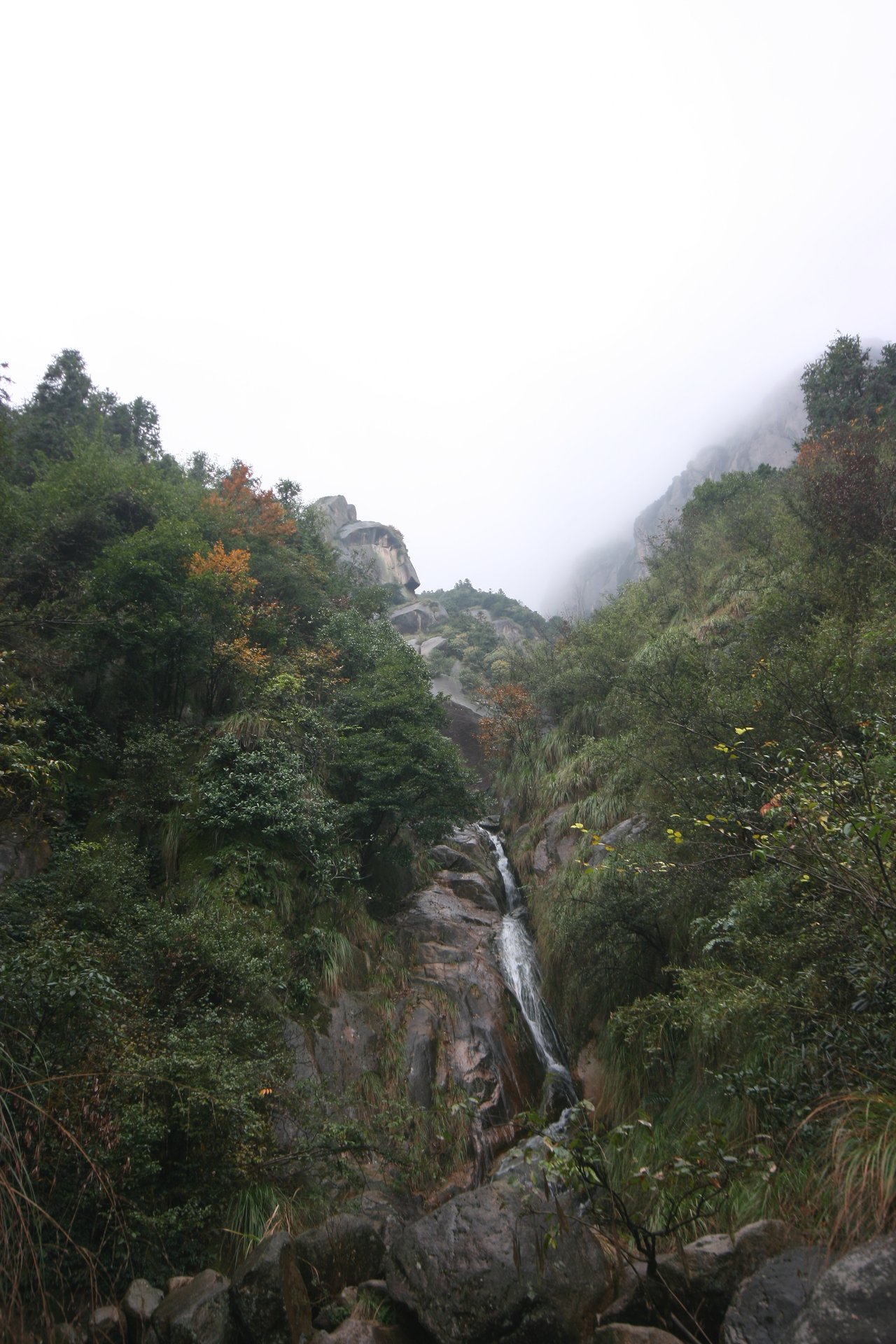 IMG_20111107_090000_034.jpg