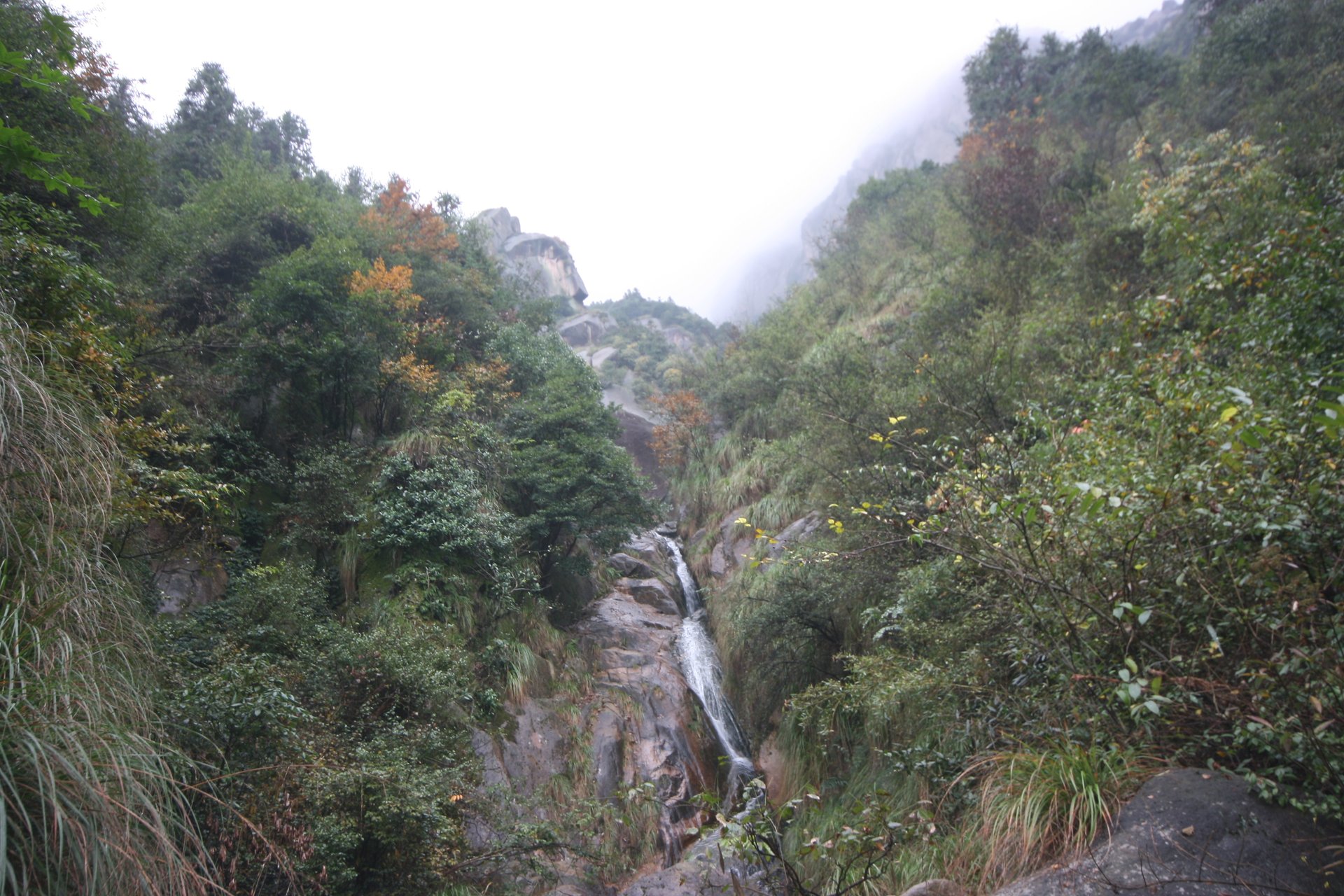 IMG_20111107_090000_035.jpg