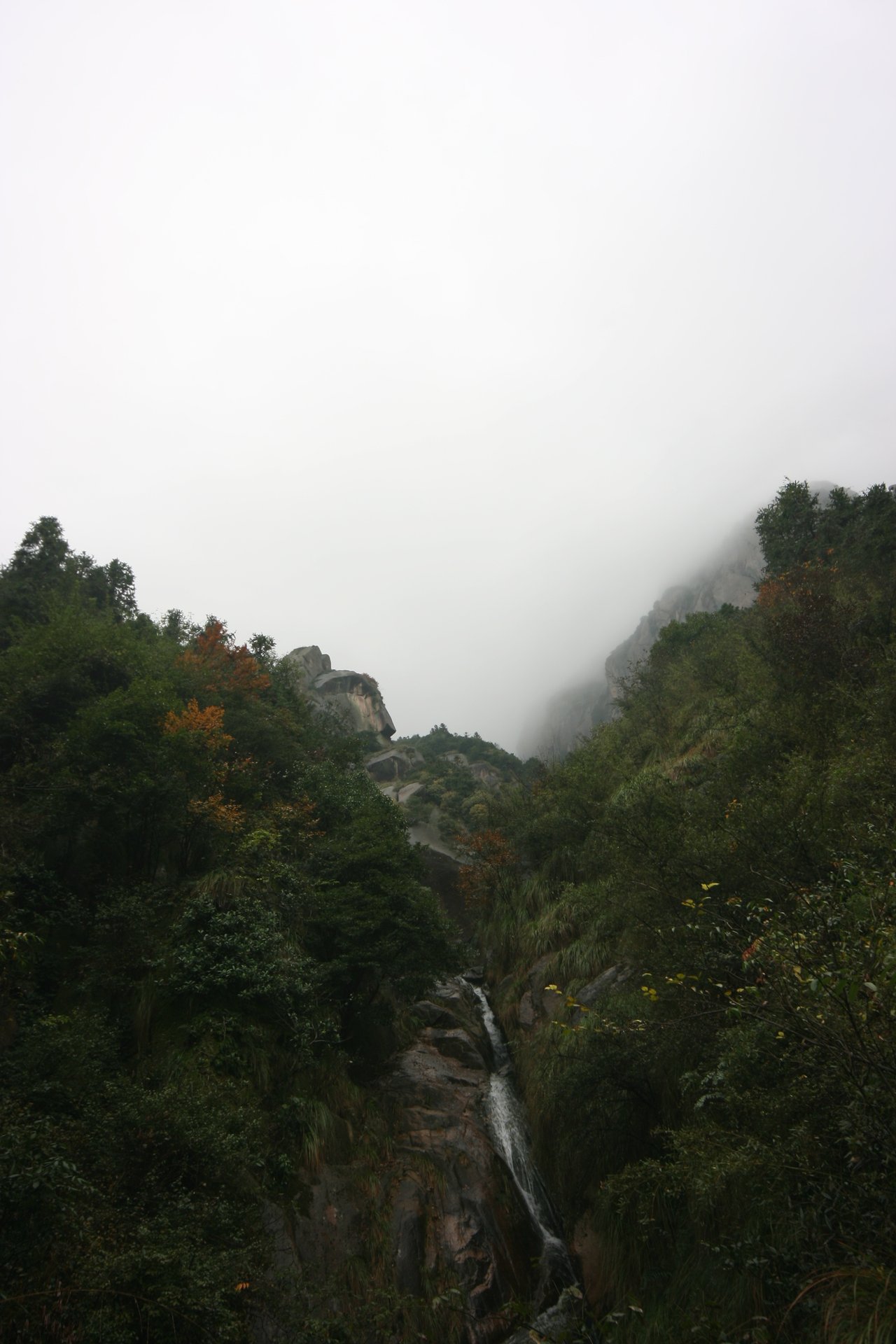 IMG_20111107_090000_036.jpg