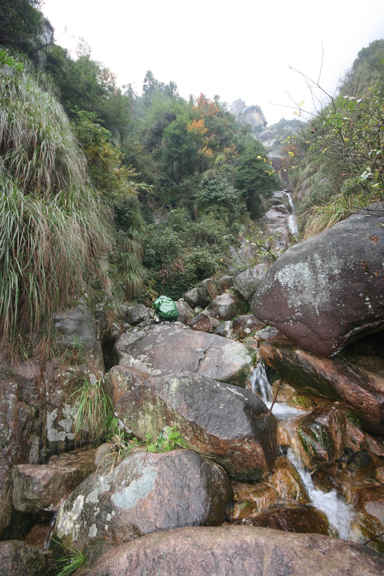 IMG_20111107_090000_039.jpg