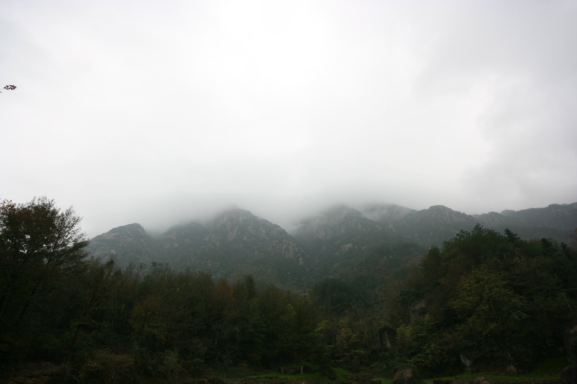 IMG_20111107_090000_041.jpg