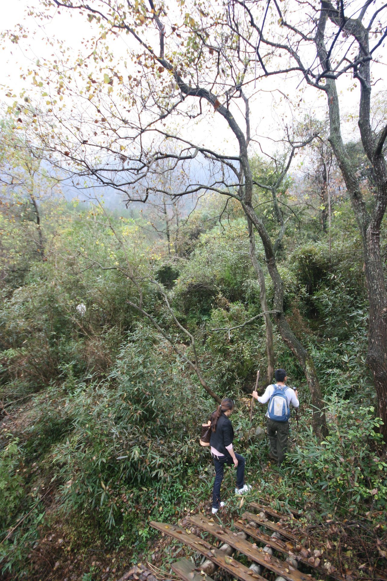 IMG_20111107_090000_042.jpg