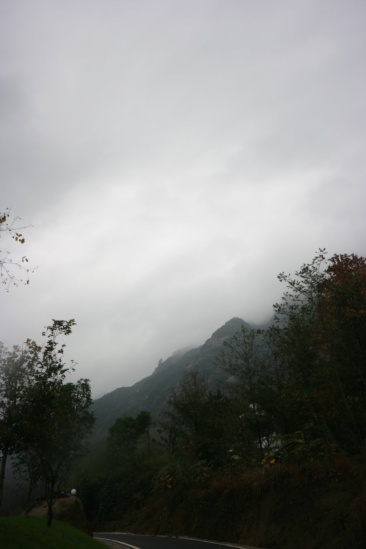 IMG_20111107_090000_045.jpg