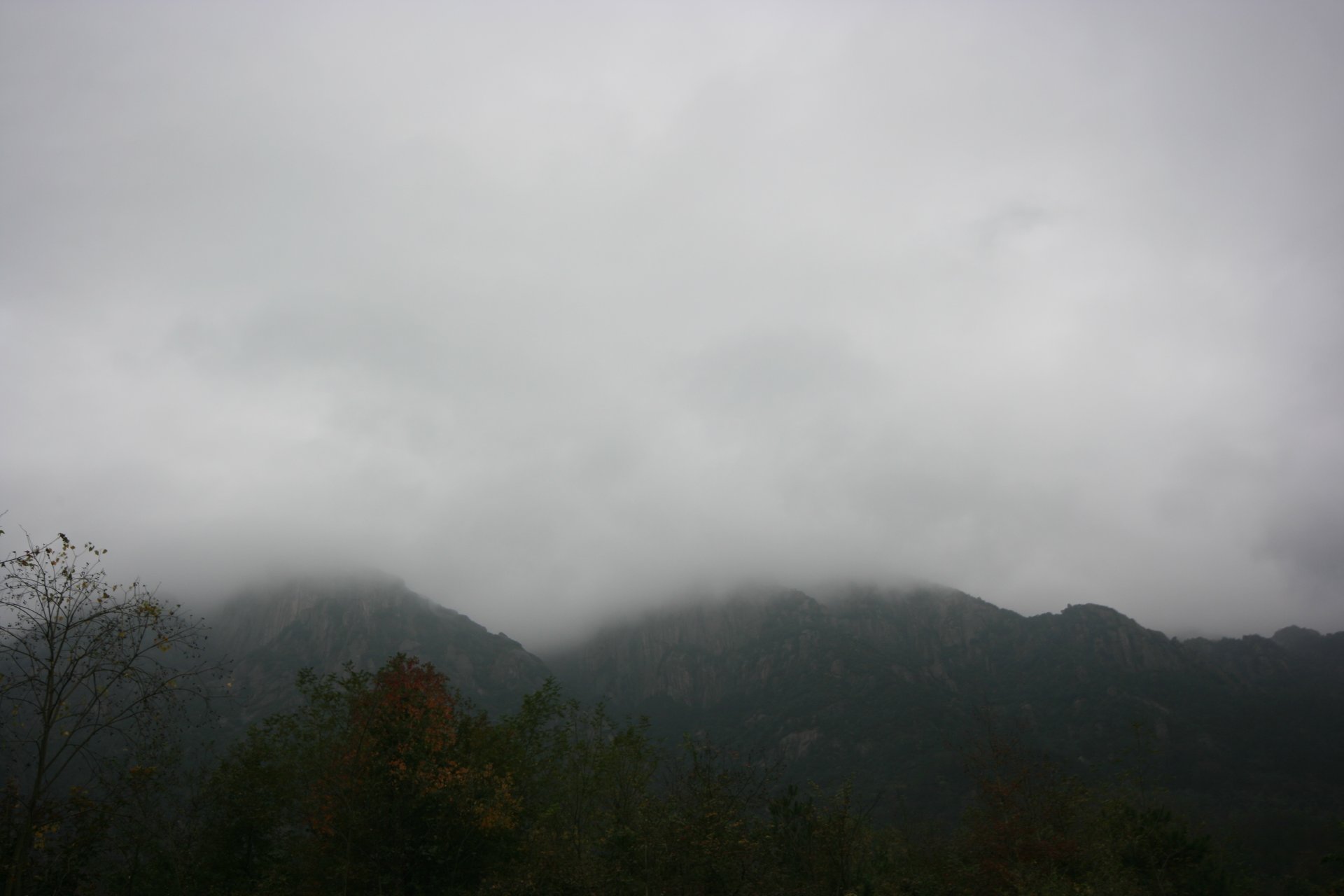 IMG_20111107_090000_046.jpg