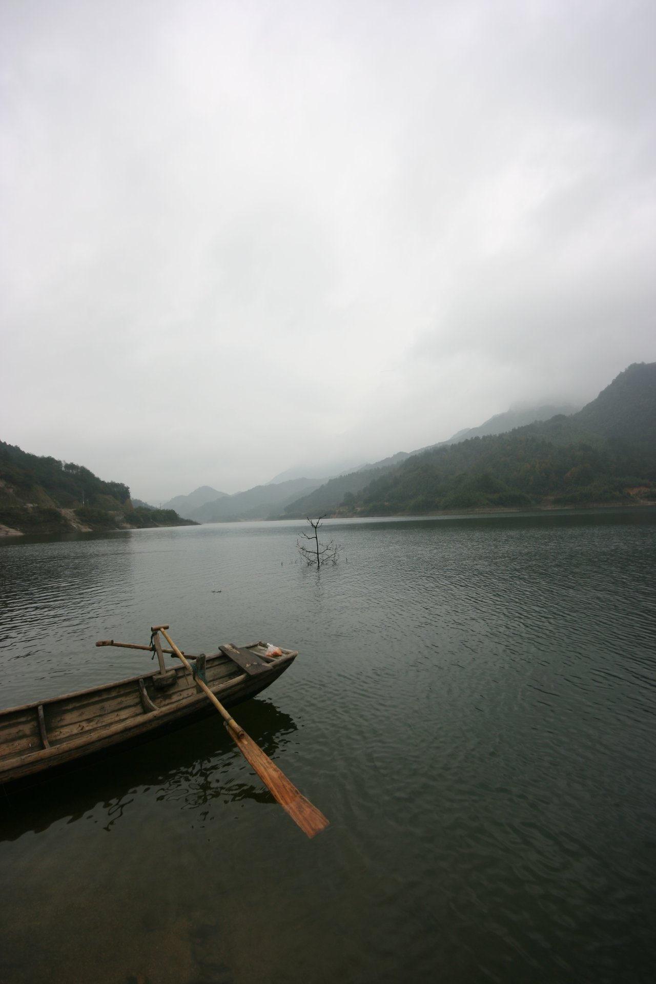 IMG_20111107_090000_051.jpg