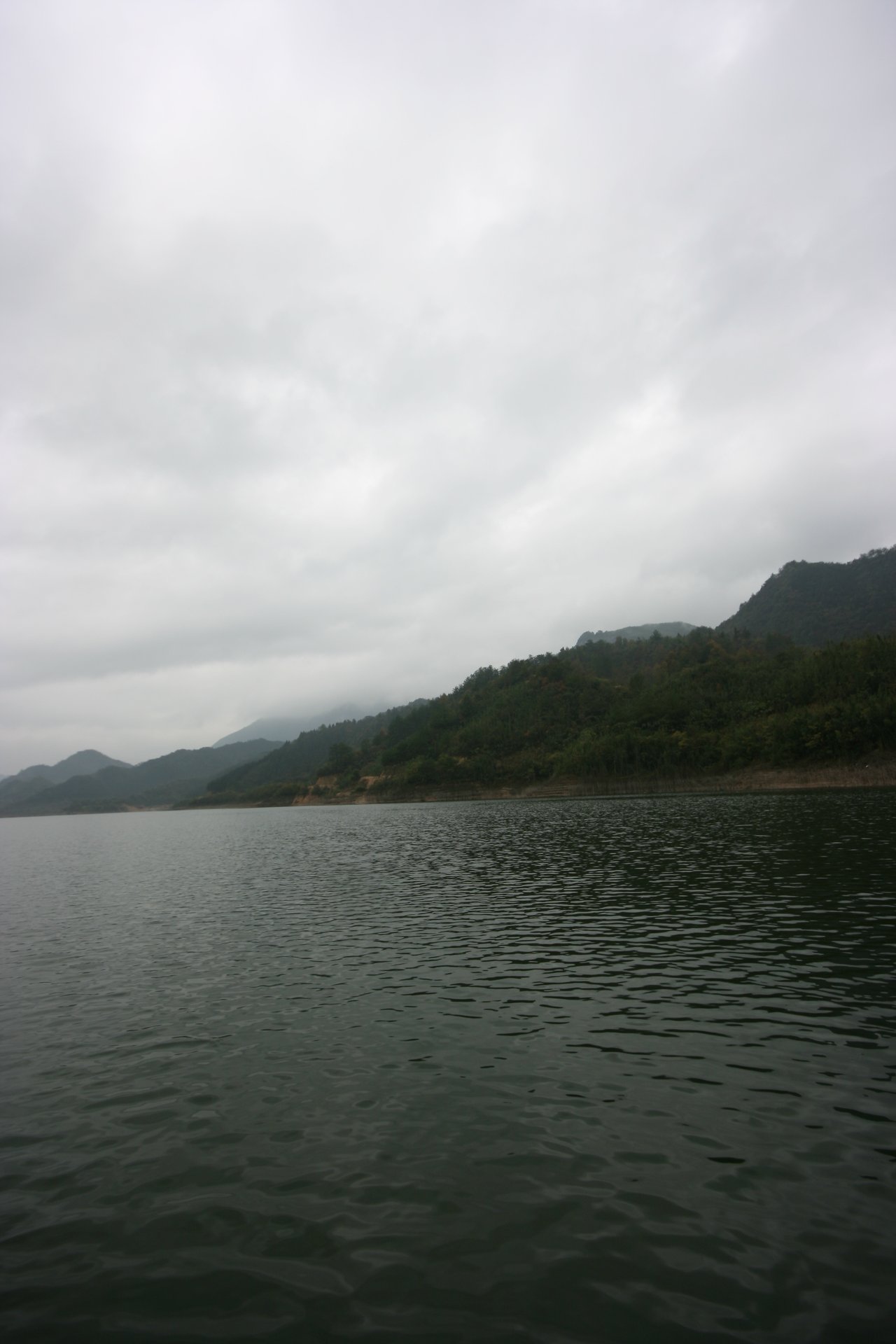 IMG_20111107_090000_054.jpg