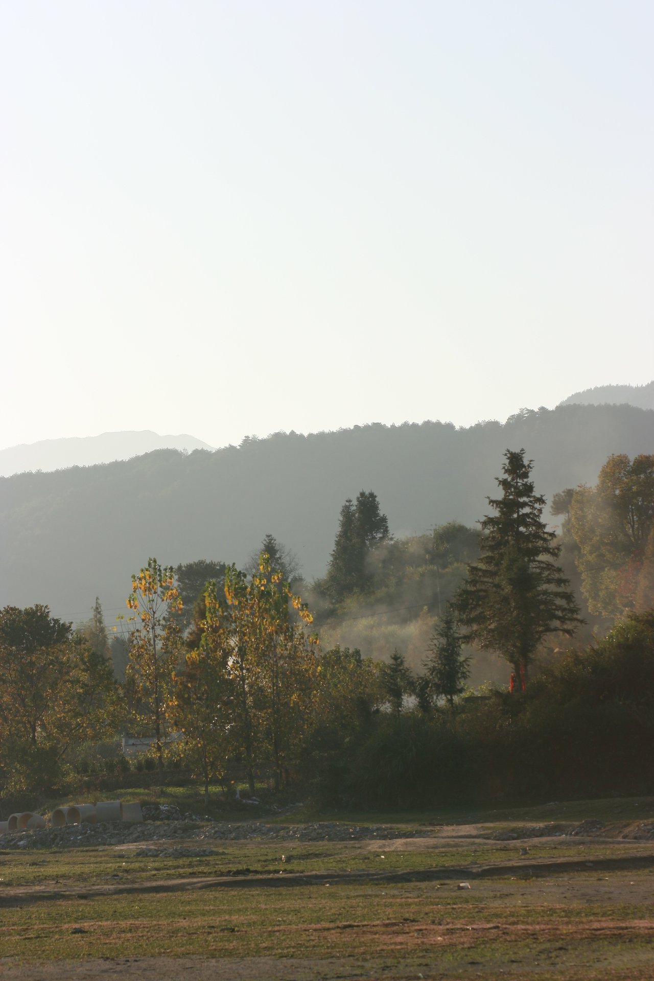 IMG_20111112_090000_058.jpg
