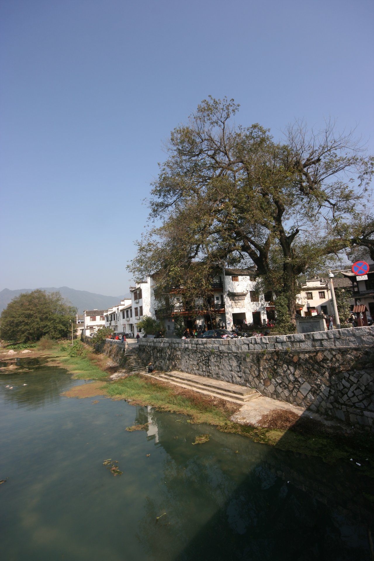 IMG_20111112_090000_119.jpg