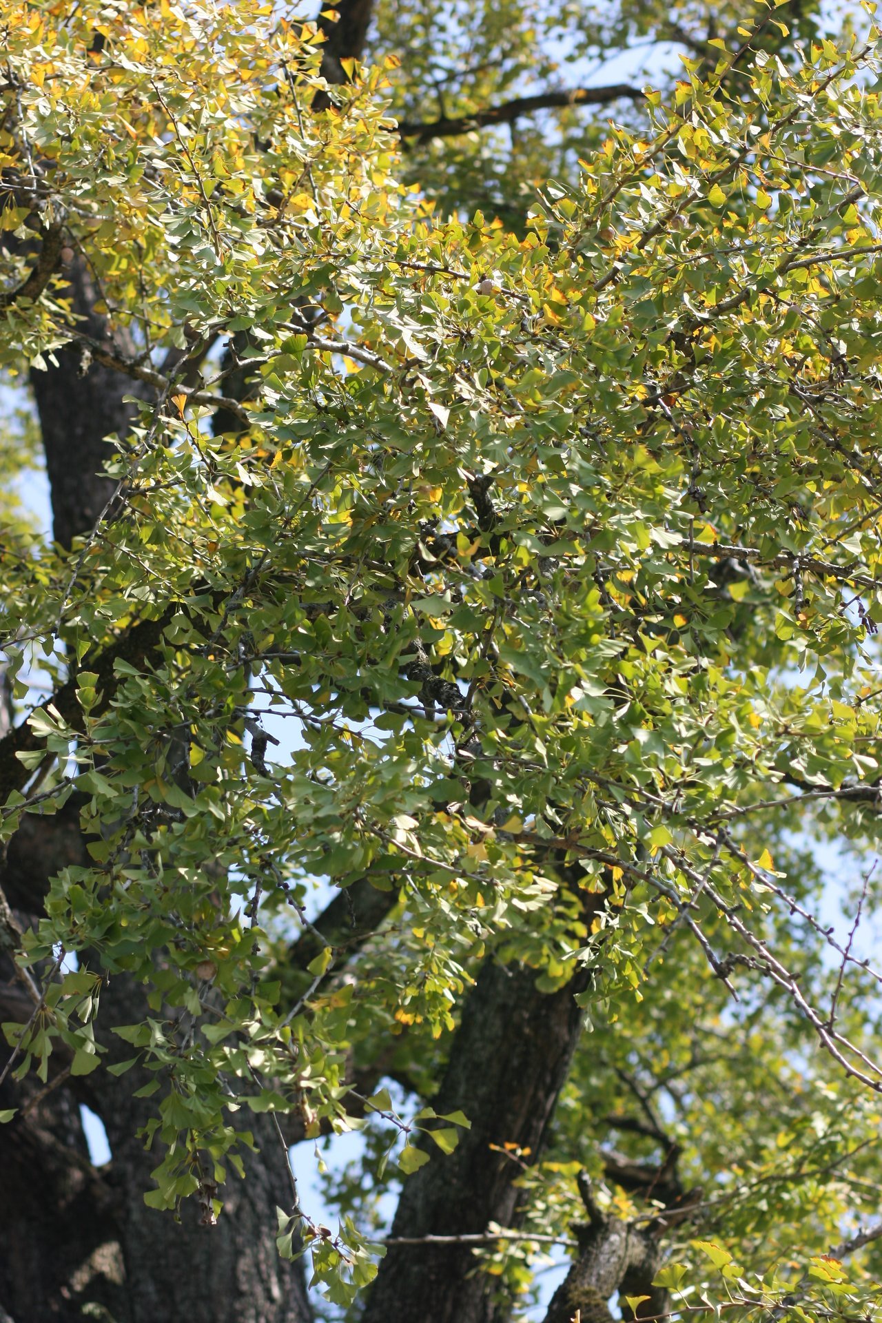 IMG_20111113_113000.jpg