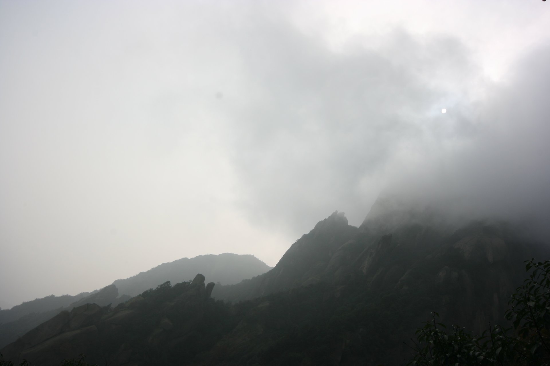 IMG_20111120_090000_038.jpg