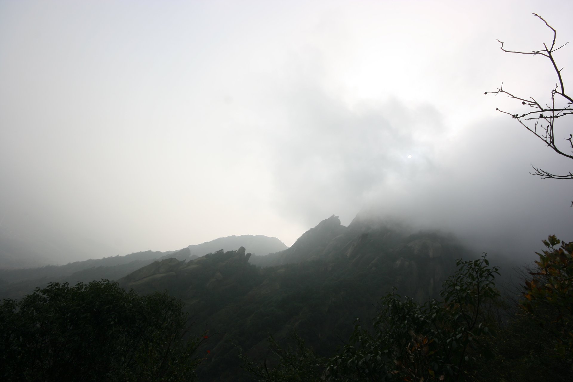 IMG_20111120_090000_039.jpg