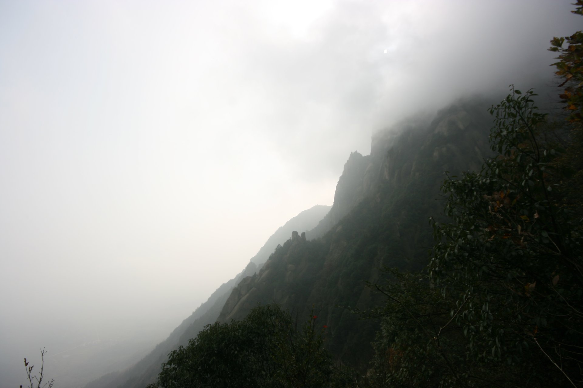 IMG_20111120_090000_040.jpg