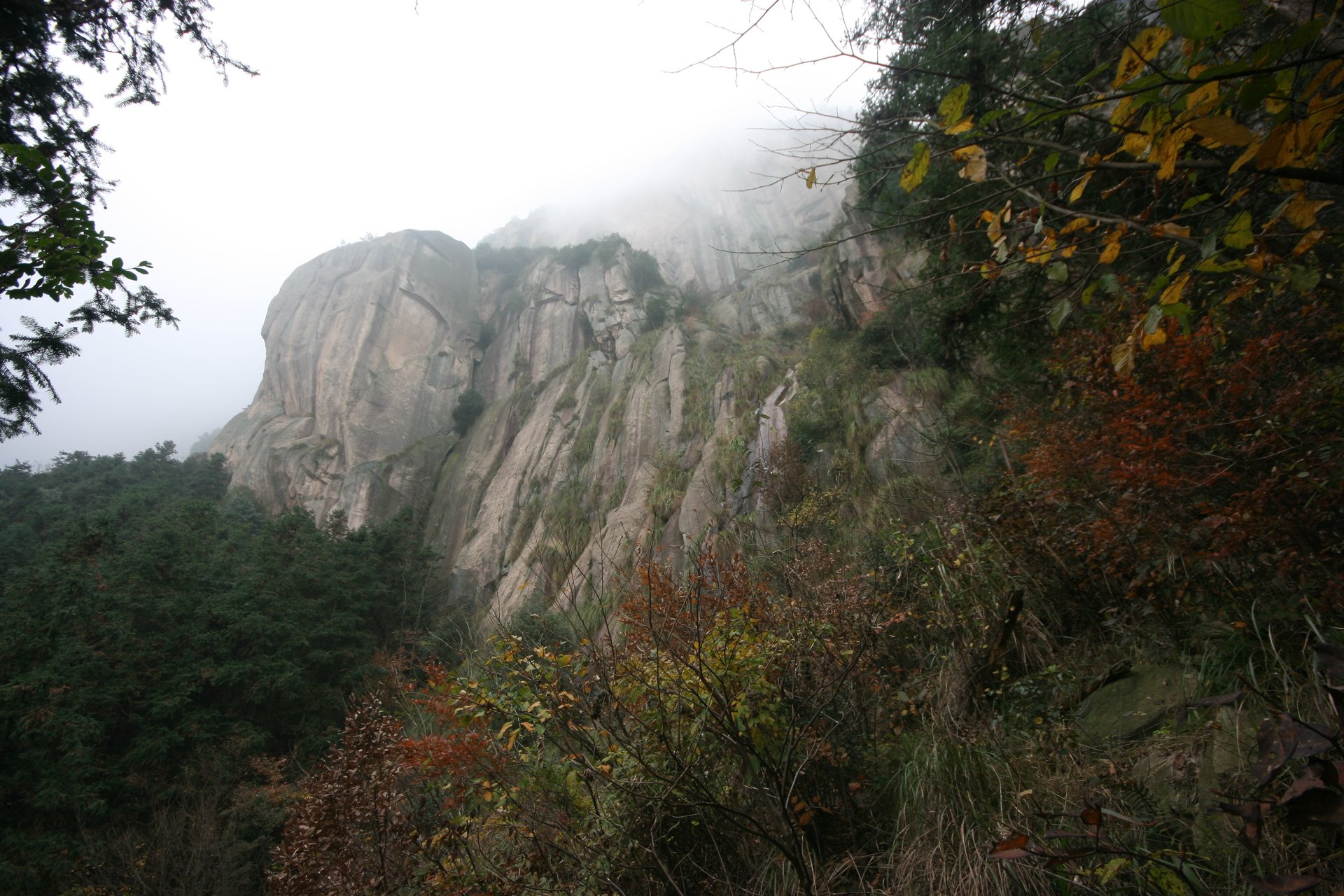 IMG_20111120_090000_044.jpg