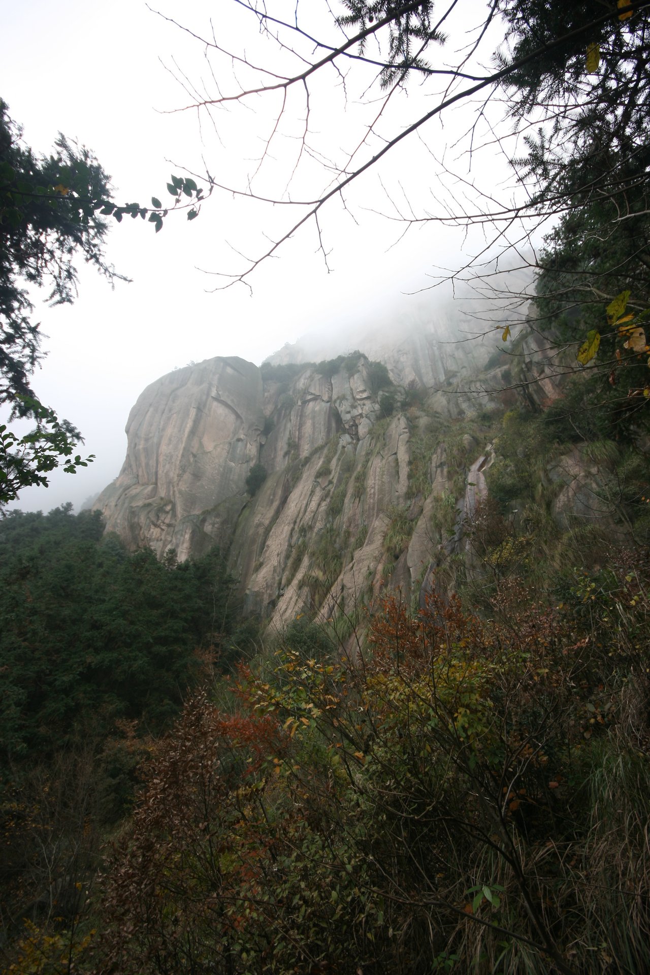 IMG_20111120_090000_045.jpg
