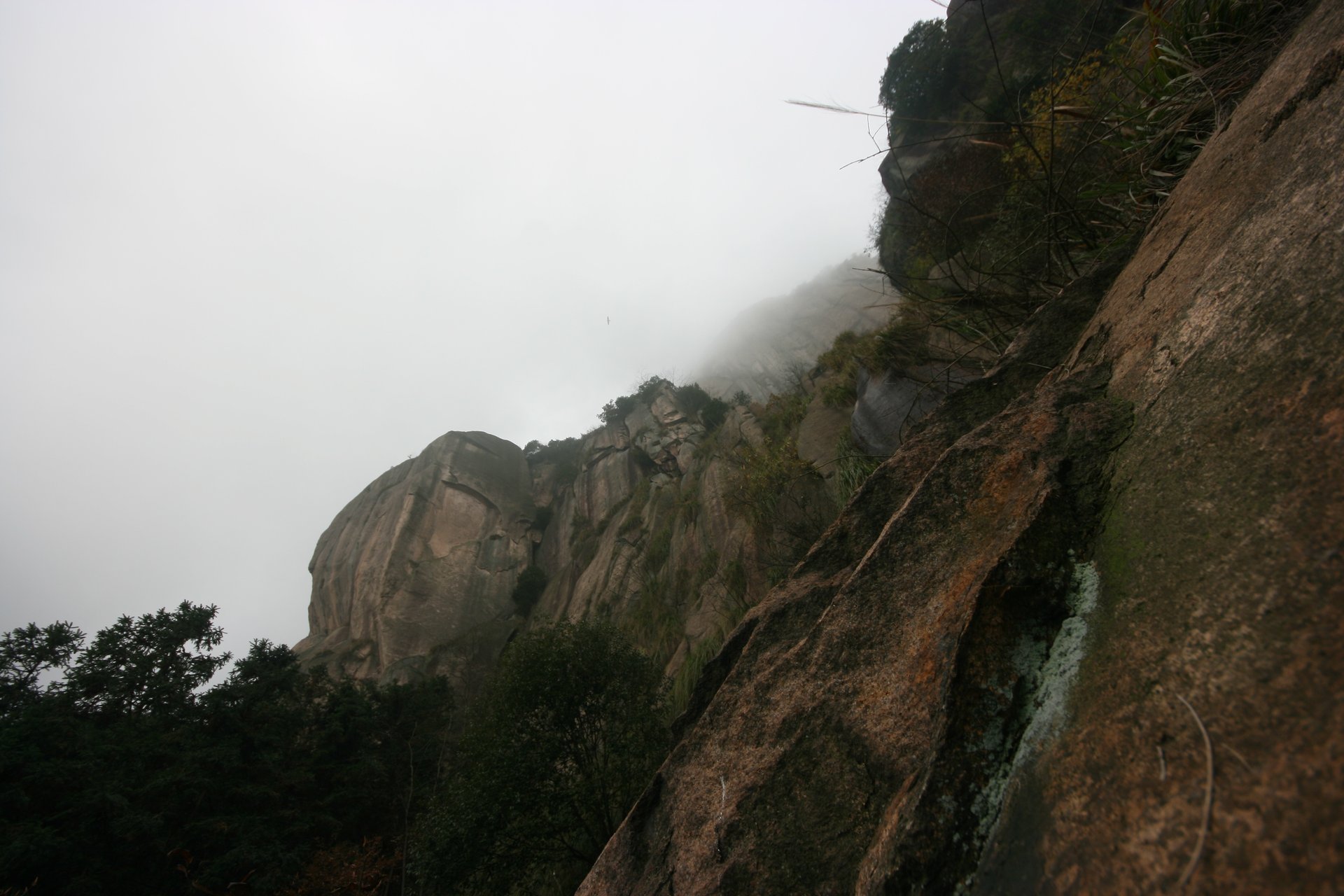 IMG_20111120_090000_046.jpg