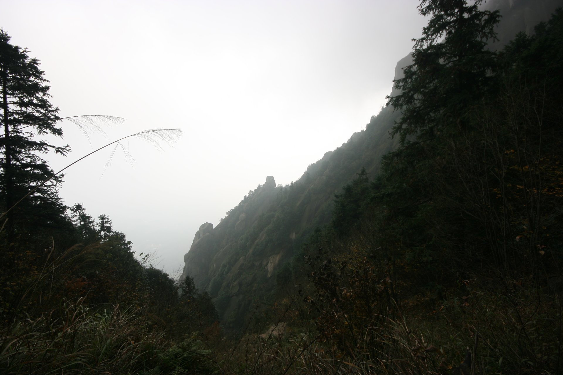 IMG_20111120_090000_047.jpg